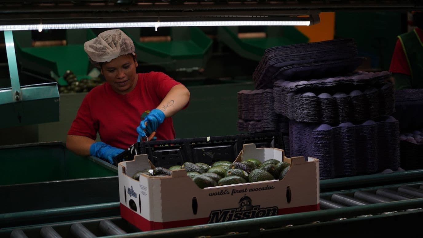 Mujer Trabajando