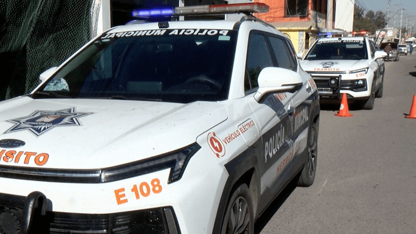 Elemento Canino Descubre Bolsa con Narcóticos en Paquetería de Hermosillo