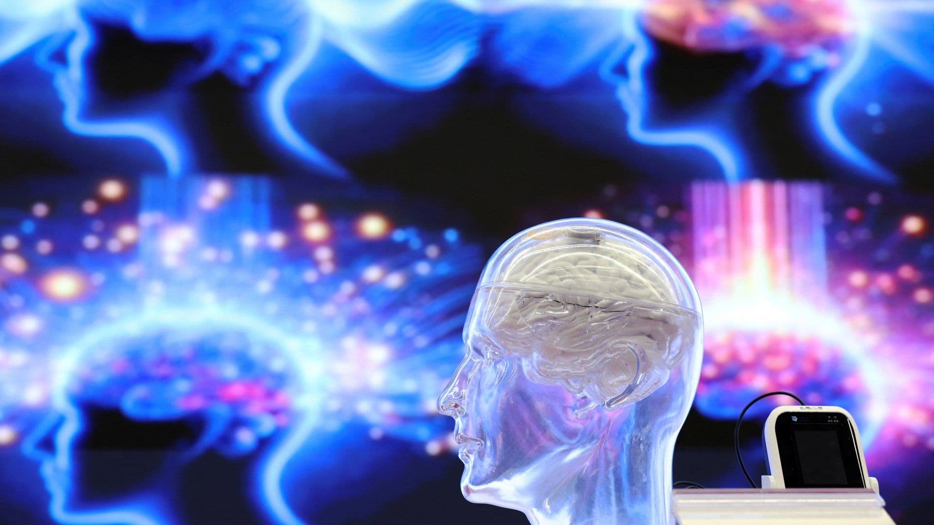 Representación del Cerebro Humano. Cuántas Neuronas Tiene el Cerebro de un Humano y Cuántas Mueren en un Día
