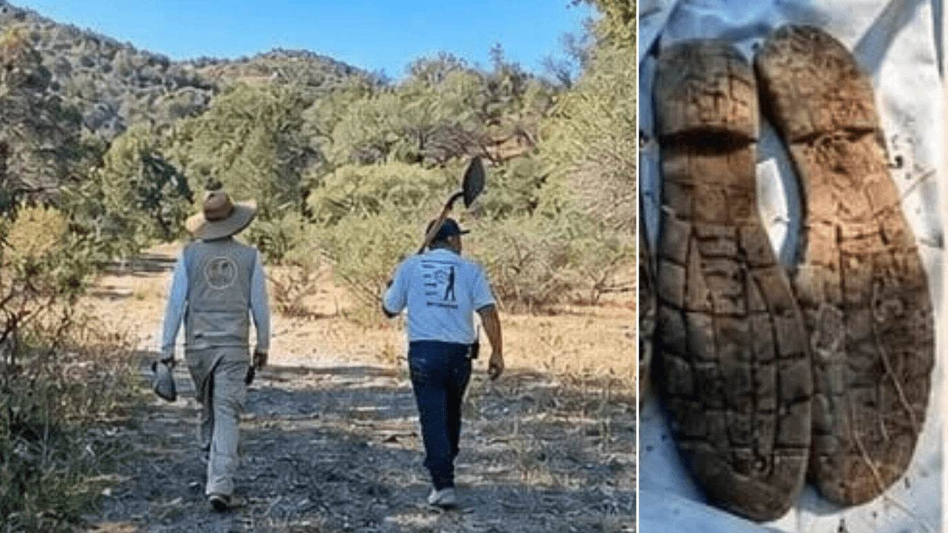 Colectivo de Búsqueda Localiza Siete Osamentas en Nogales, Sonora
