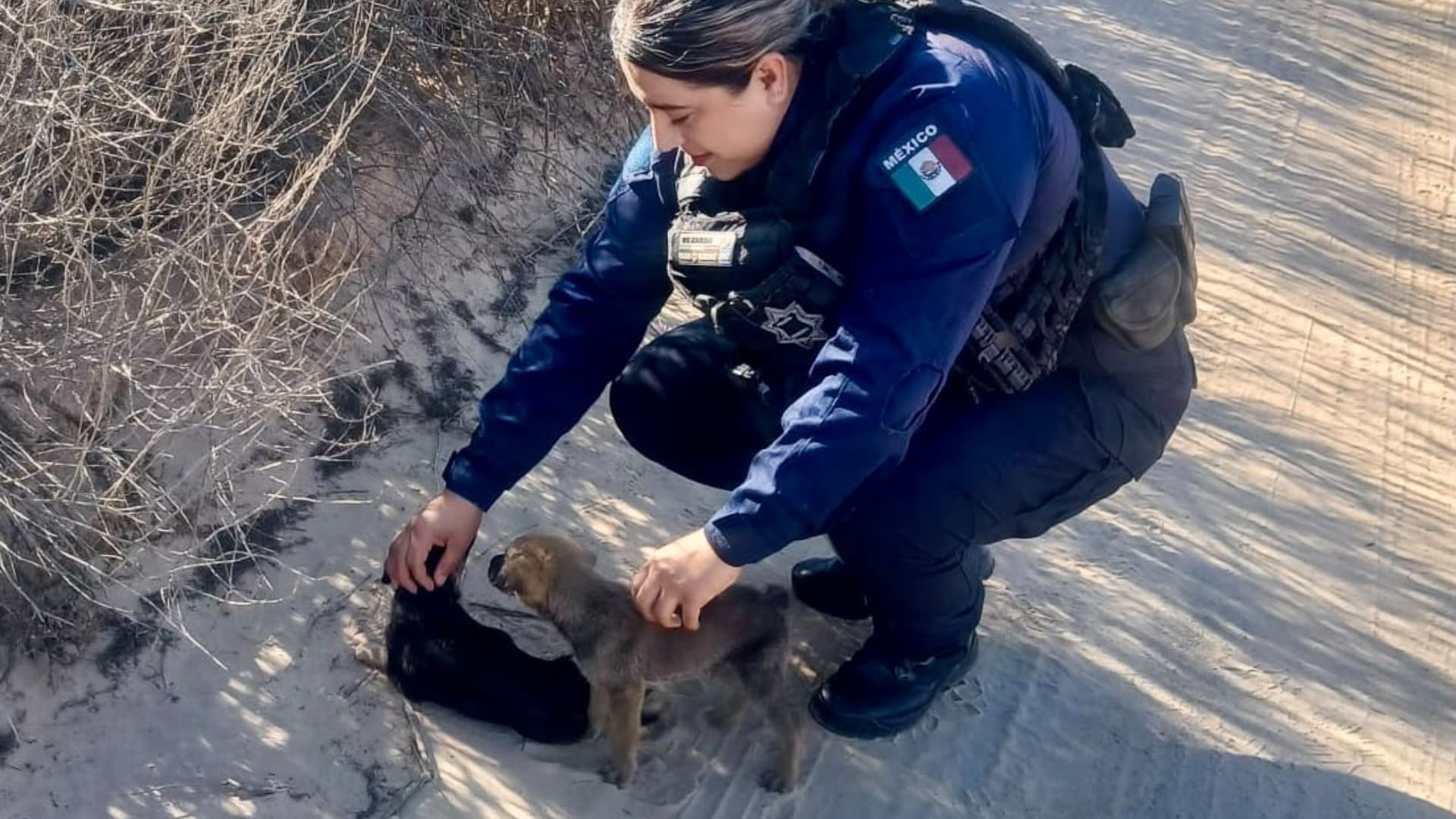 Oficiales de la Policía Campestre resguardando a los dos cachorros rescatados en El Porvenir