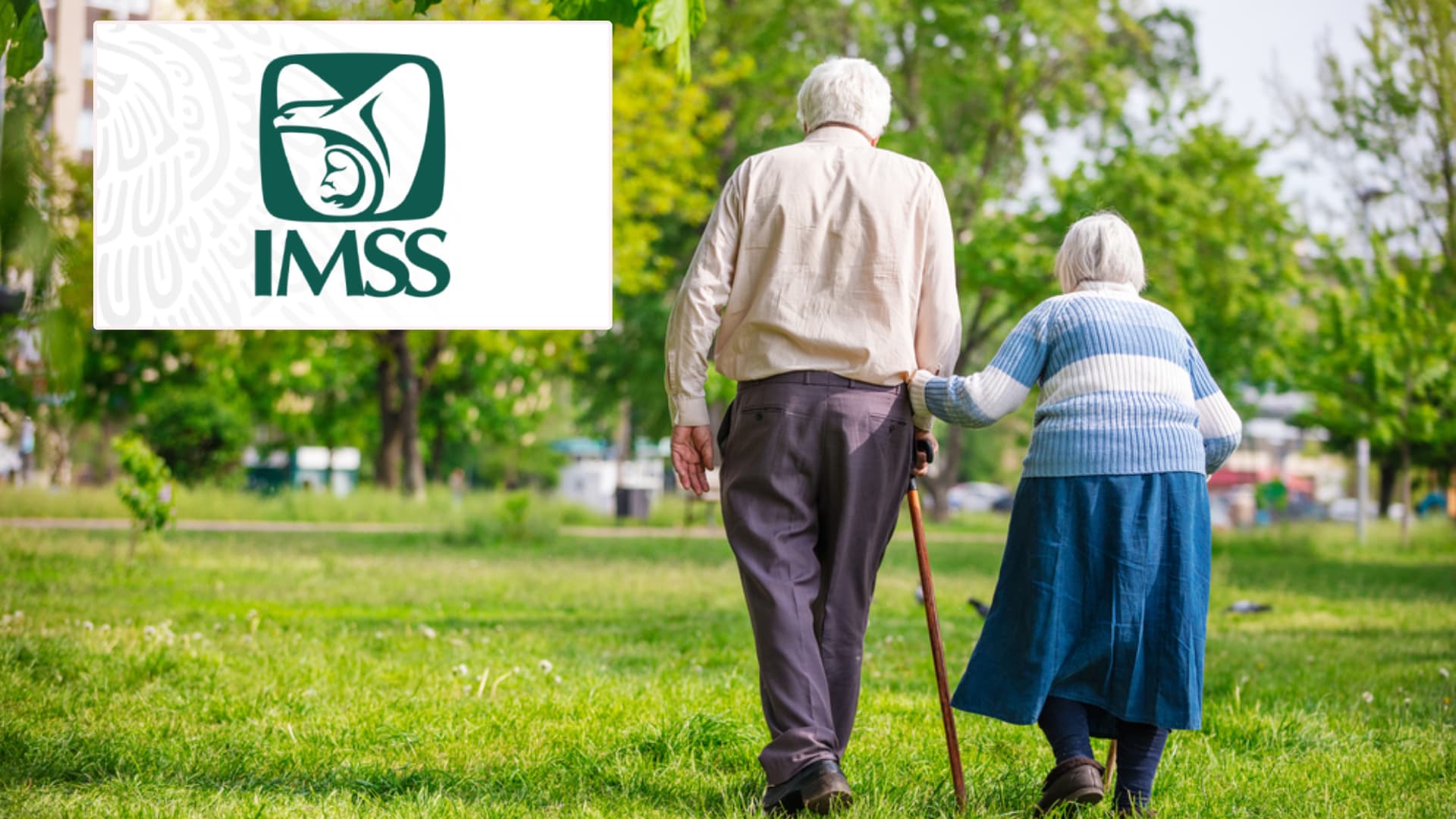 Foto: IMSS