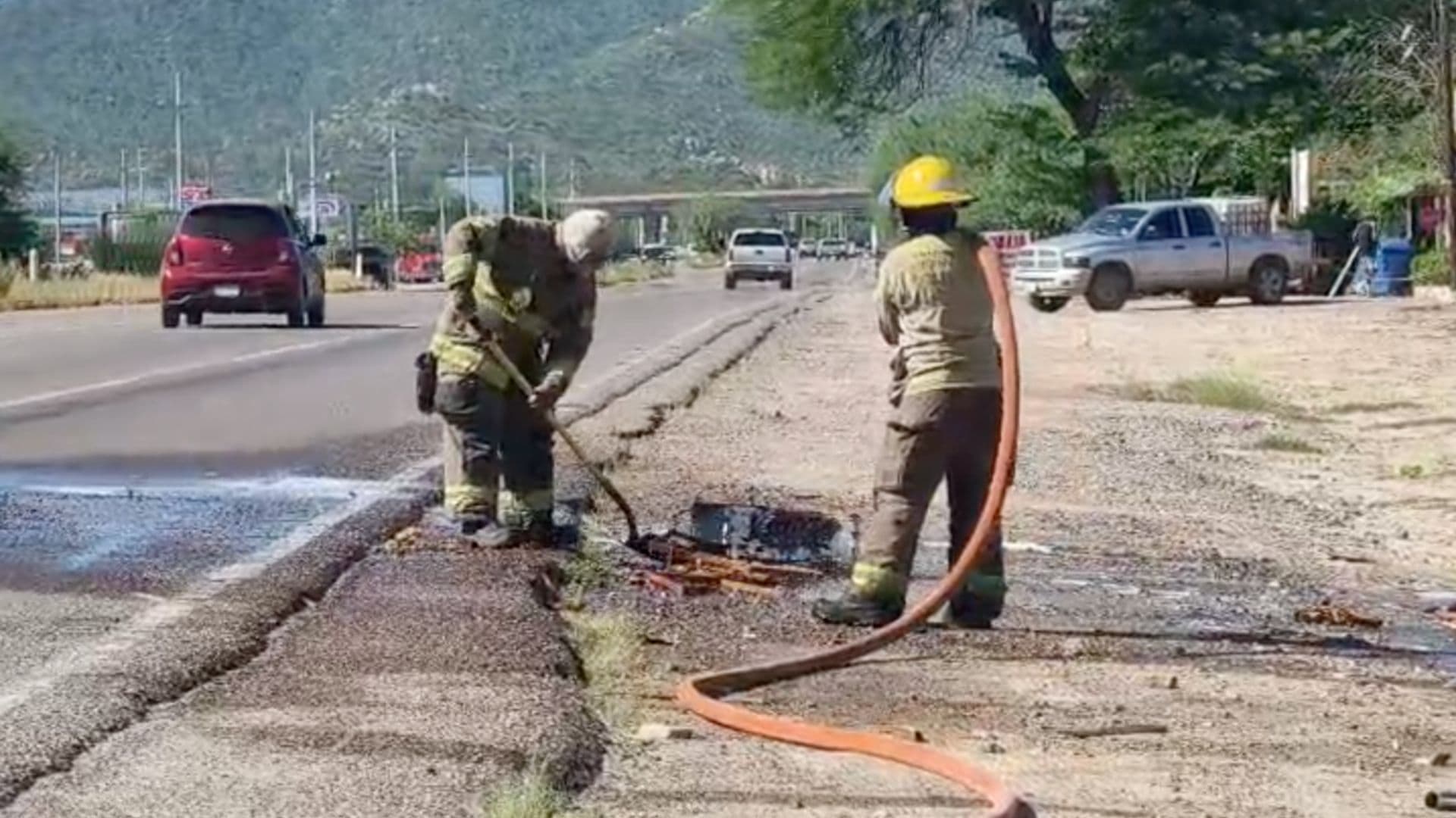 Dos Personas Resultan Lesionadas por Picaduras de Abejas en Hermosillo