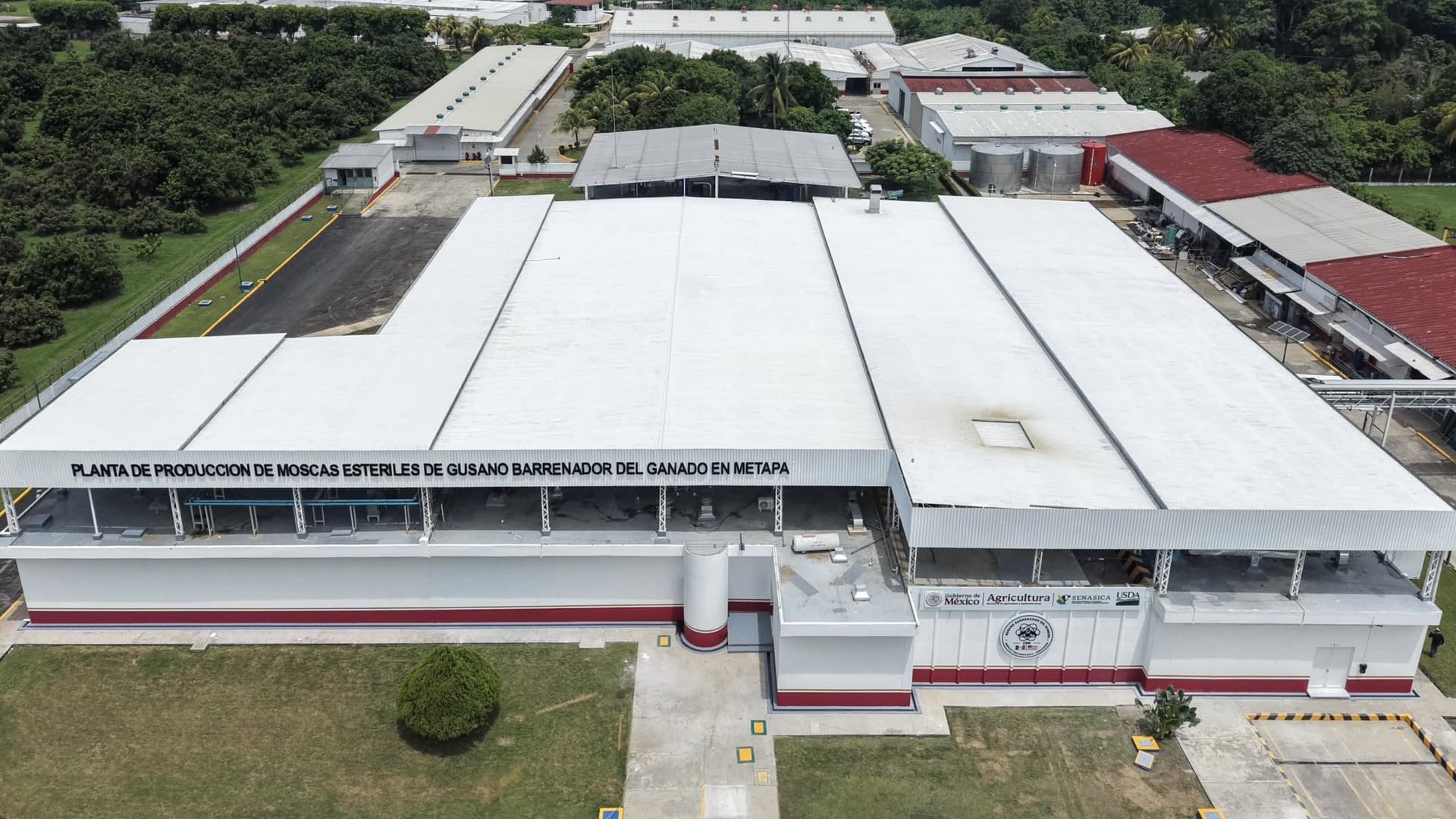 Planta productora de moscas estériles en Chiapas. Foto: Gobierno de México