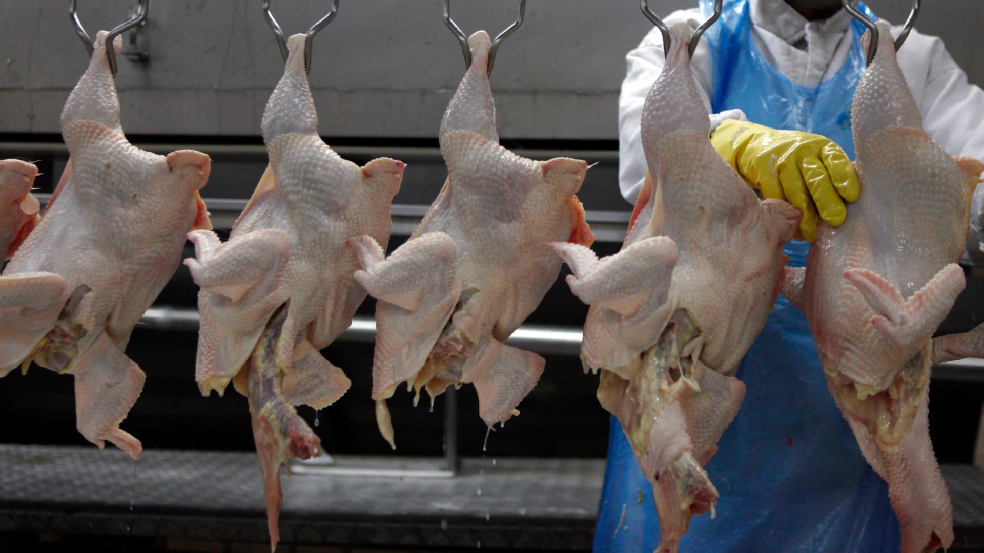 Pollo Brasil
