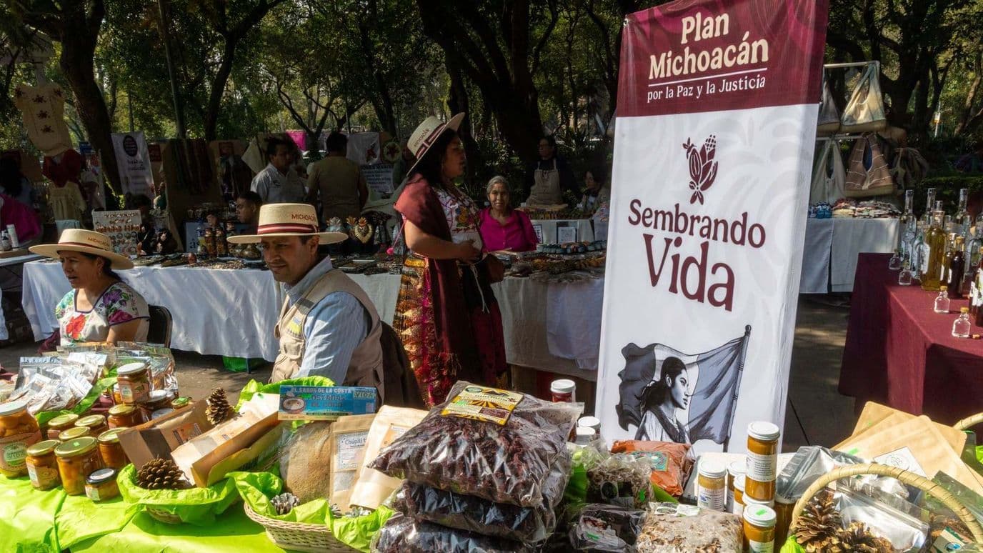 Pago Sembrando Vida Noviembre 2026. Cuándo cae depósito en Tarjeta Bienestar