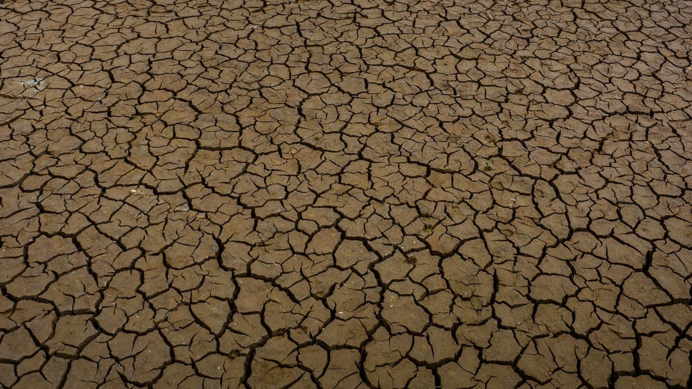 La sequía ocurre cuando las precipitaciones disminuyen de forma importante. Foto: AP