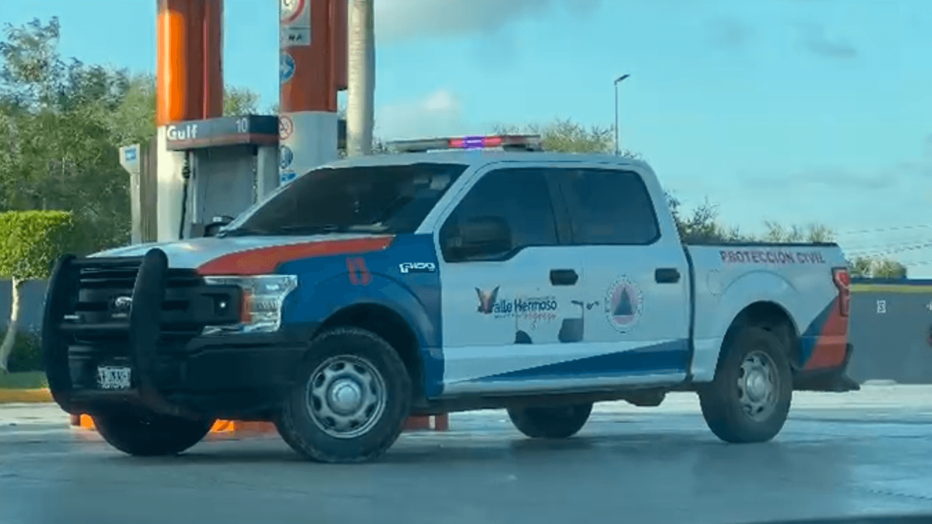 Ataque de Abejas en Gasolinera de Tamaulipas deja Un Muerto y Siete Lesionados