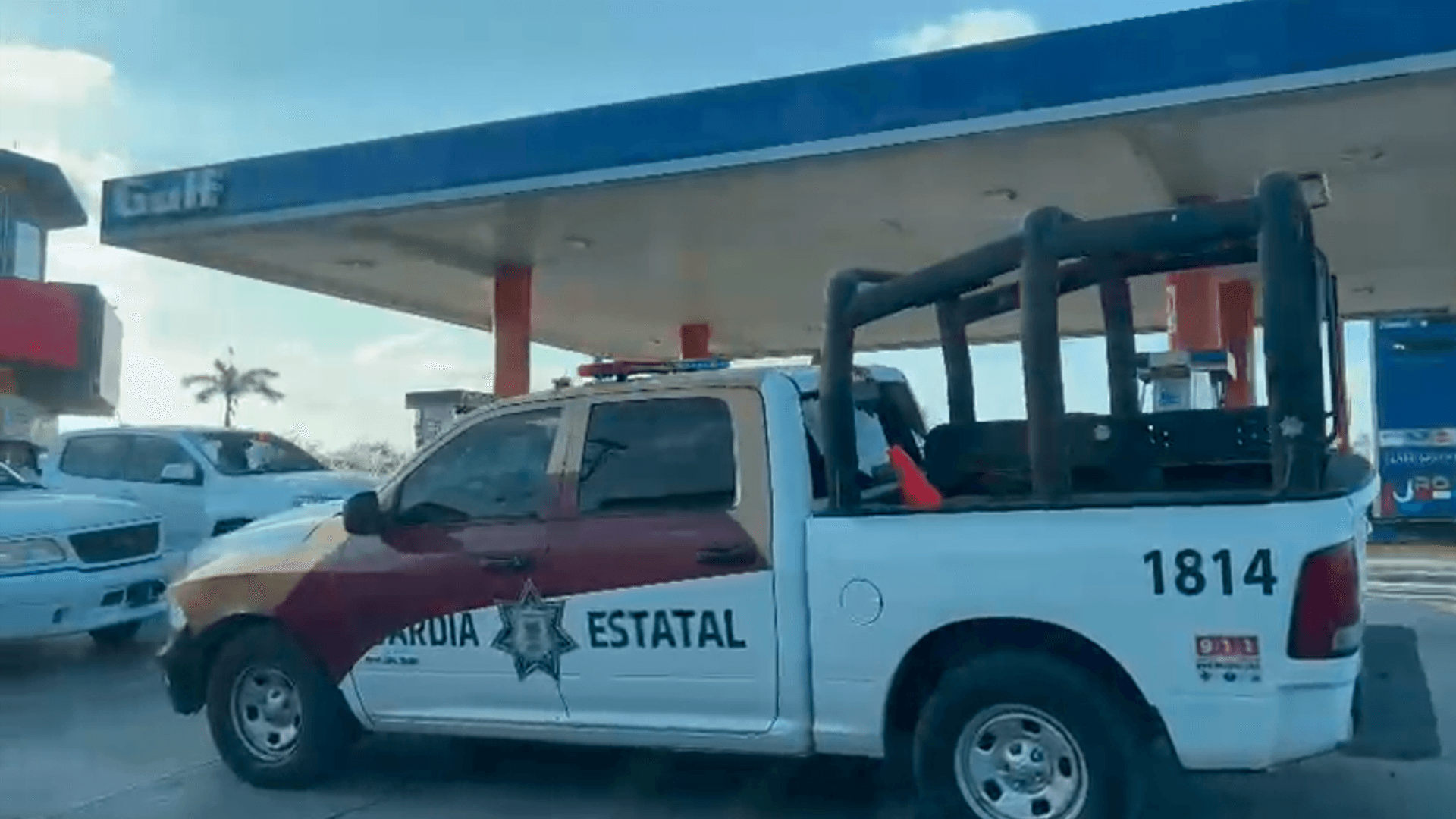 Autoridades Atienden Ataque de Abejas en Valle Hermoso