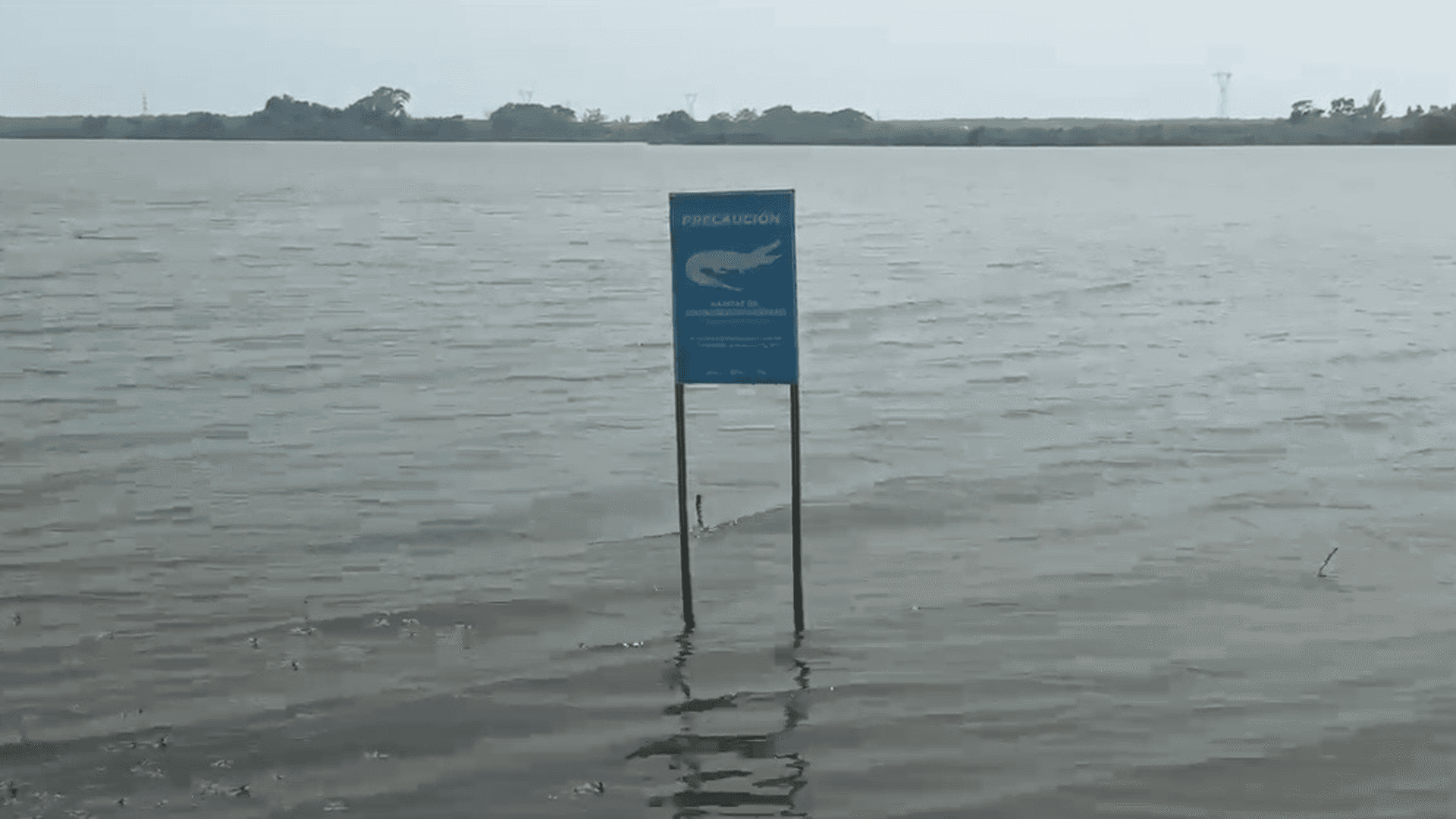 Denuncian que Arrojan Escombro y Varillas a la Laguna del Chairel en Tampico