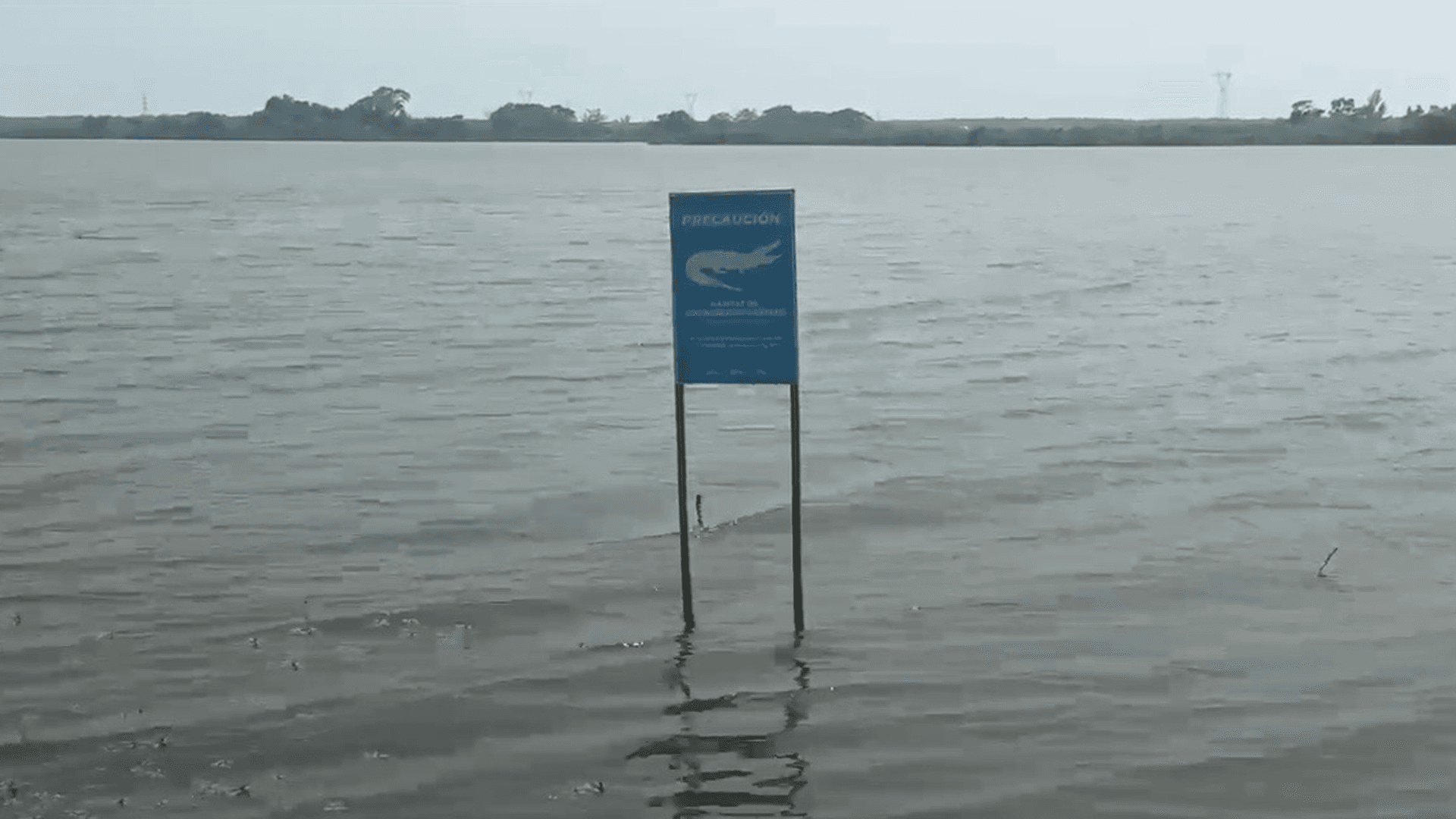 Denuncian que Arrojan Escombro y Varillas a la Laguna del Chairel en Tampico