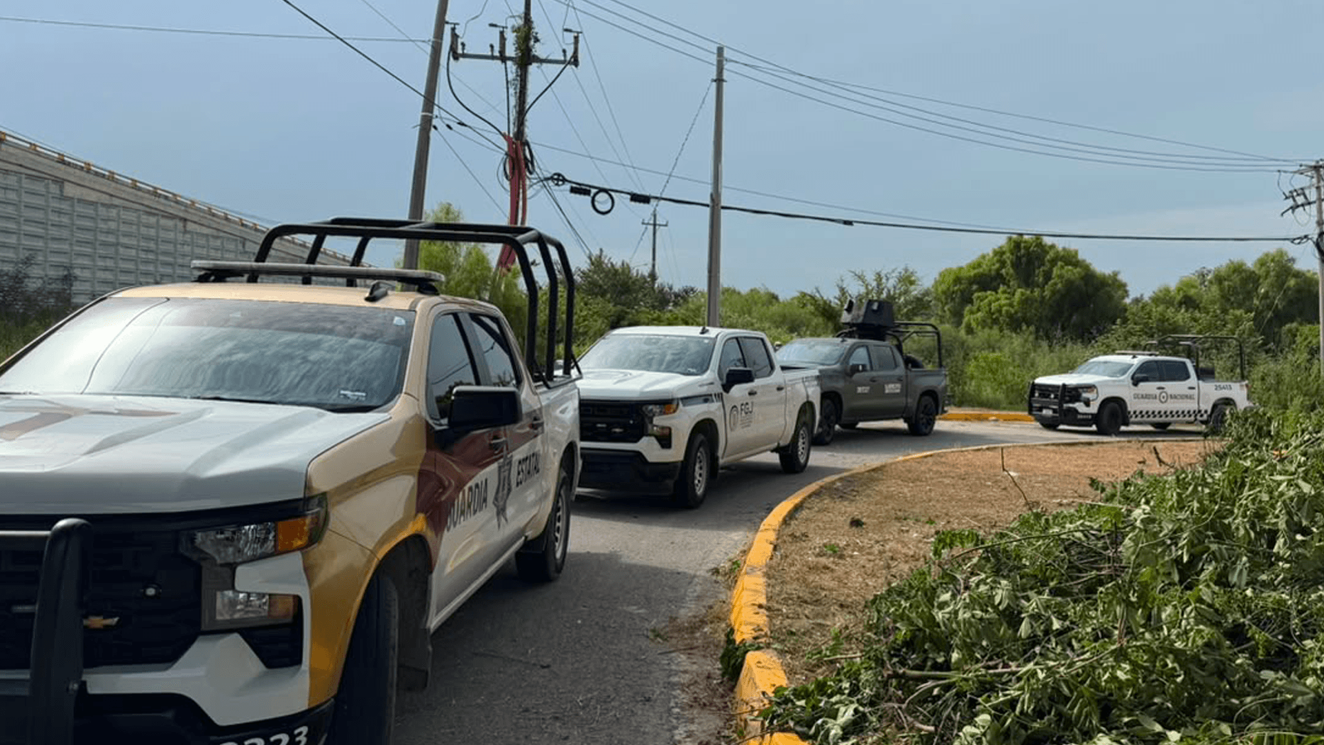 Hallan Restos Óseos Durante Labores de Limpieza Bajo Puente  'La Morita' de Altamira
