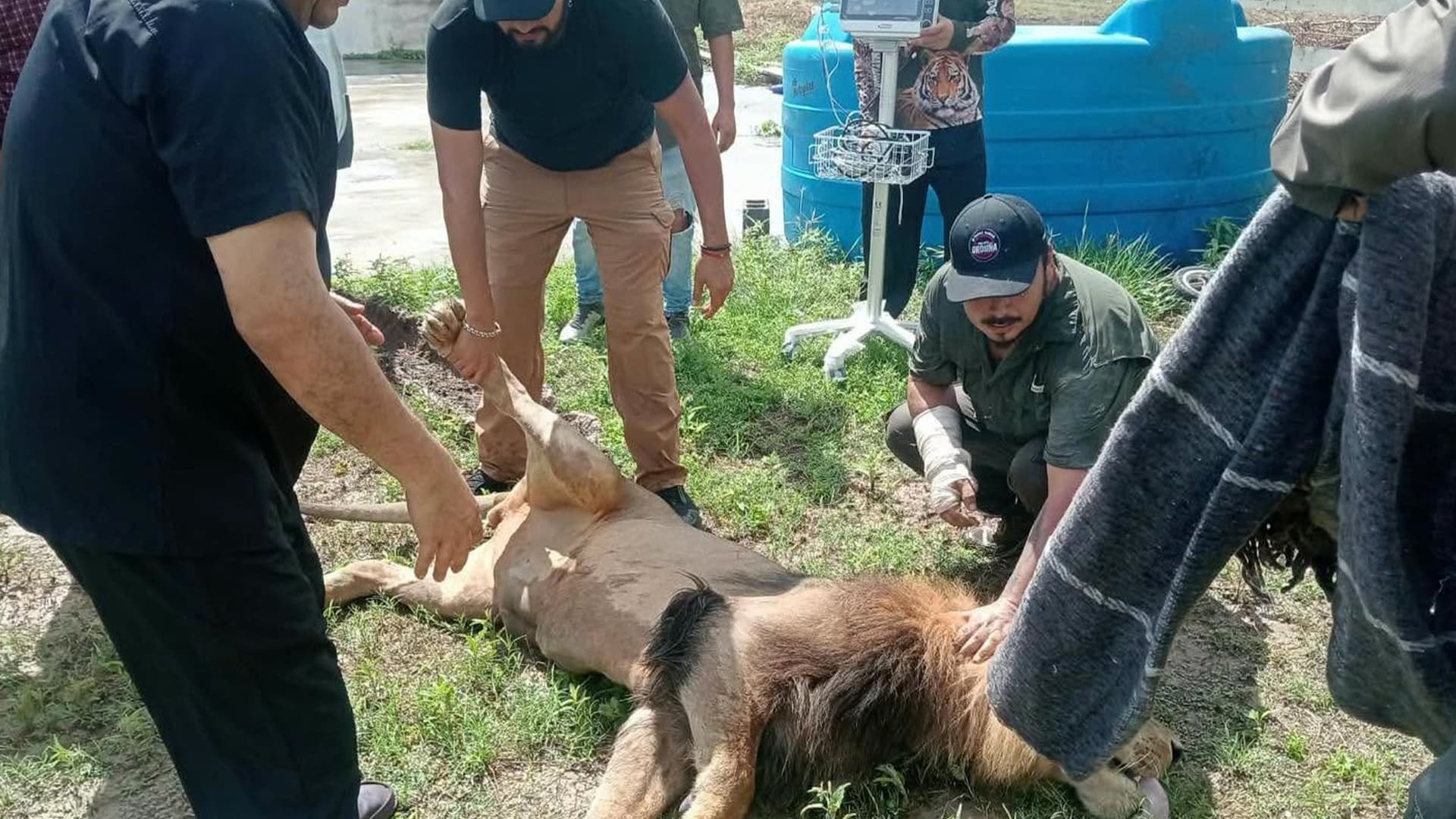 Localizan a León que Había Escapado en el Ejido Bartolina de Matamoros