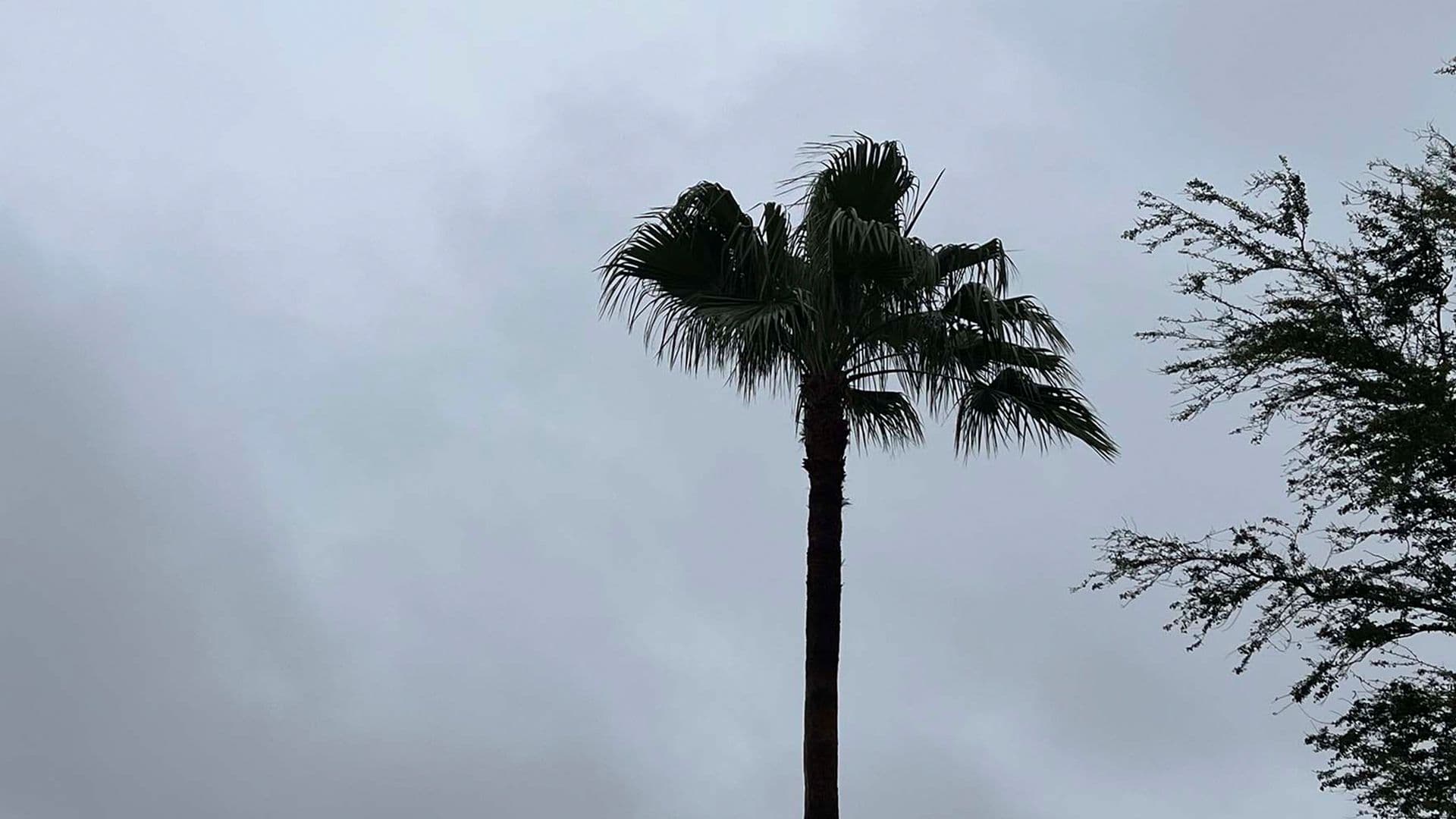 Tormenta Tropical "Bertha" Provocará Lluvias Fuertes en el Norte de Tamaulipas