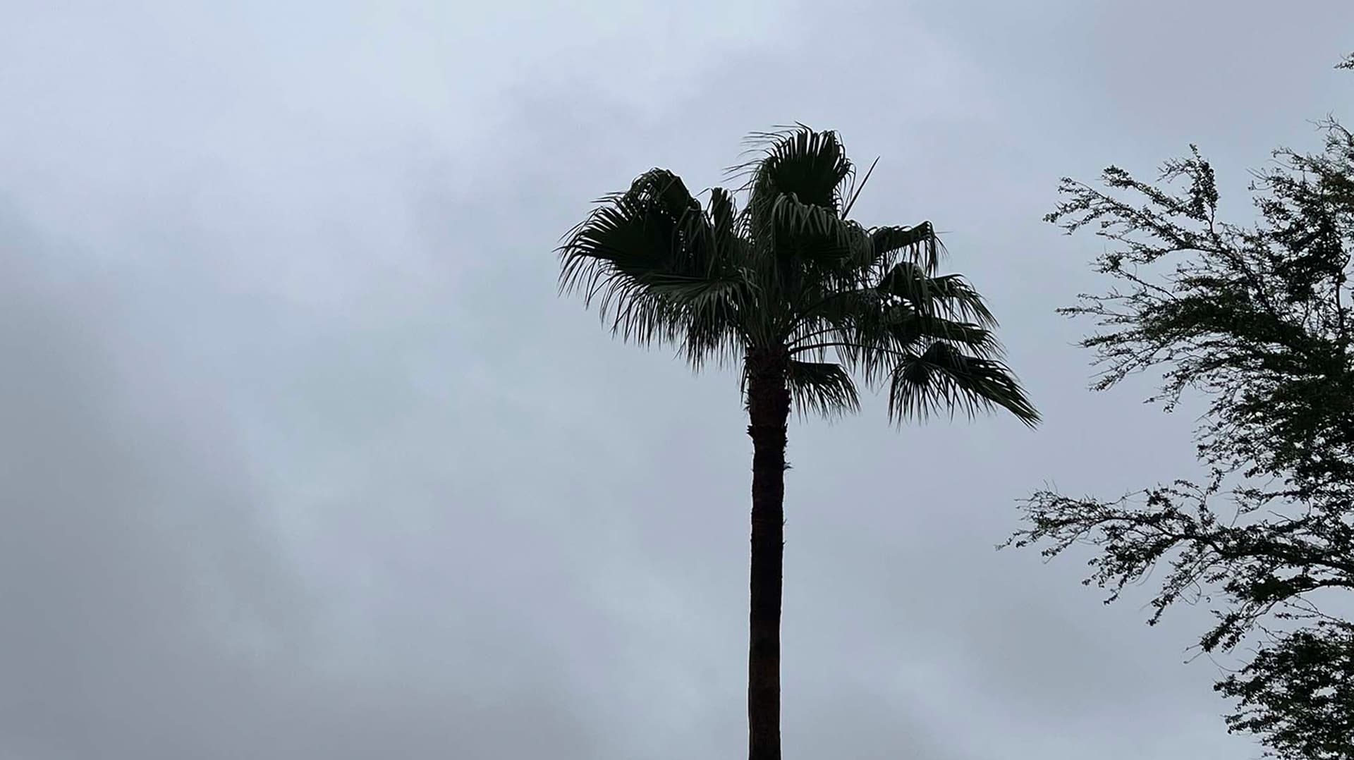 Tormenta Tropical Bertha Provocará Lluvias Fuertes Hoy Jueves en el Norte de Tamaulipas