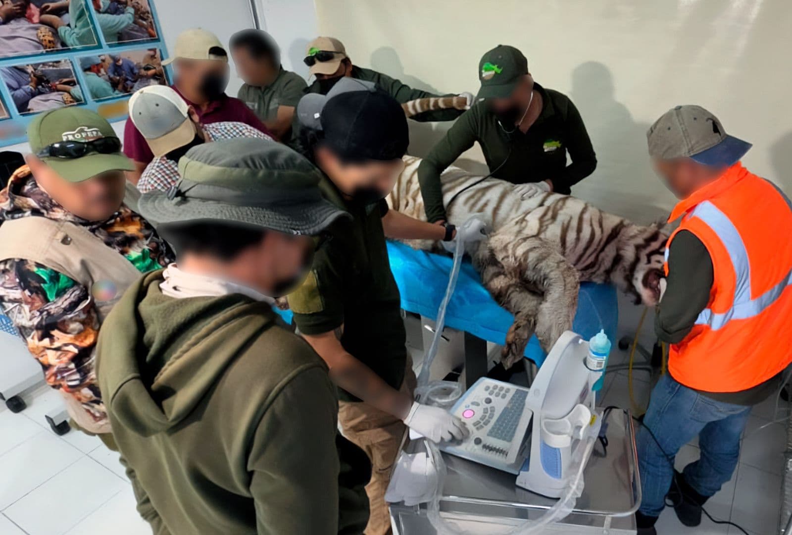 UNAM Revela Necropsia Preliminar de Muerte de Kenzo Tras Captura en Tepetlaoxtoc, Edomex