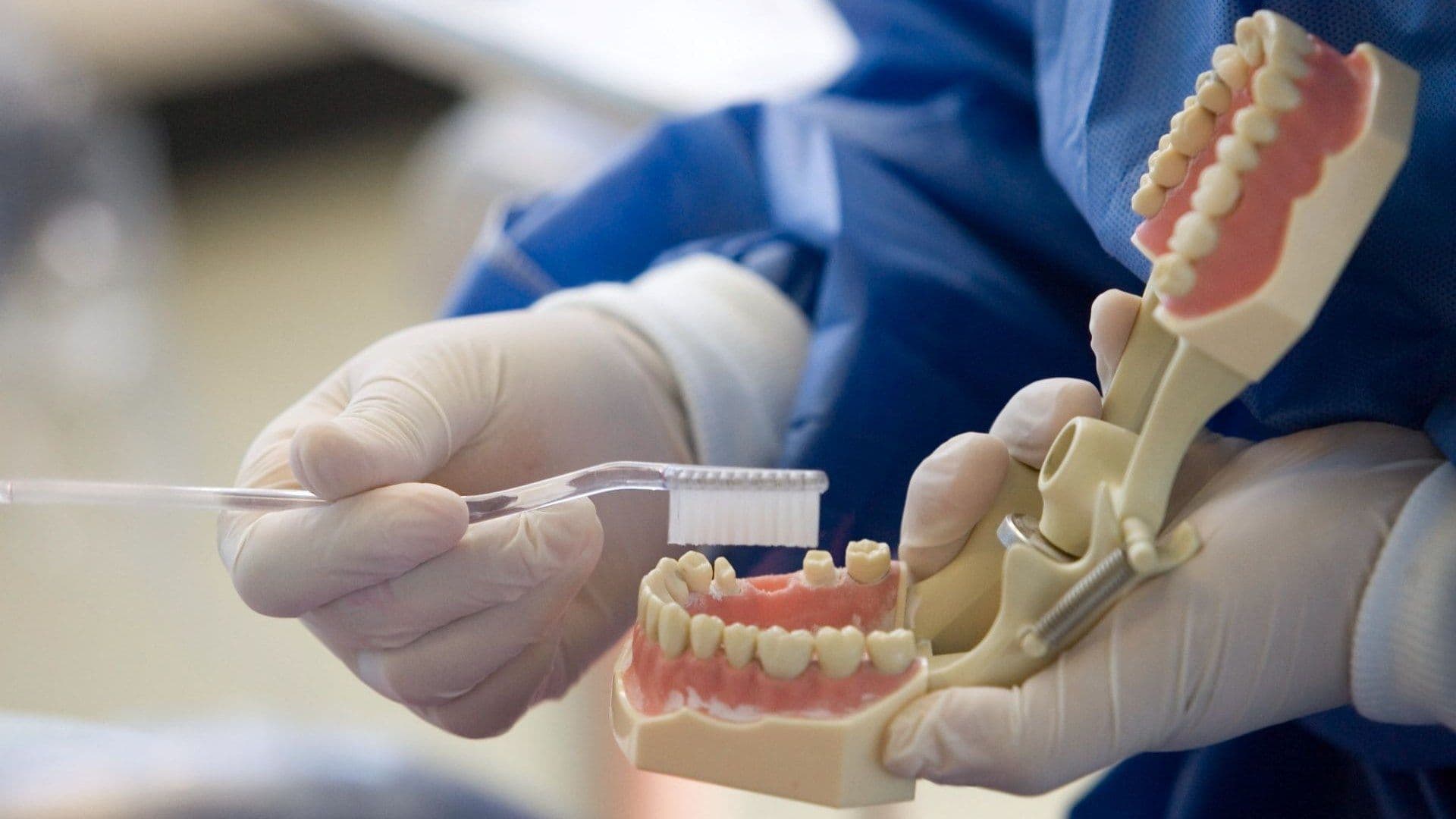 Dentadura con cepillo de dientes: Es bueno para la salud del cerebro el uso de hilo dental.