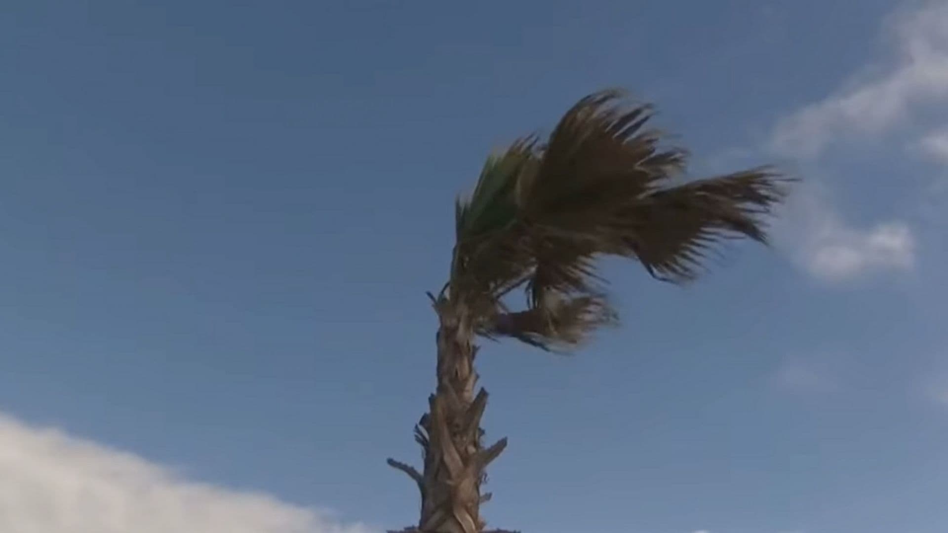 Alertan por Vientos de Santa Ana y Calor Extremo en Tijuana, Baja California