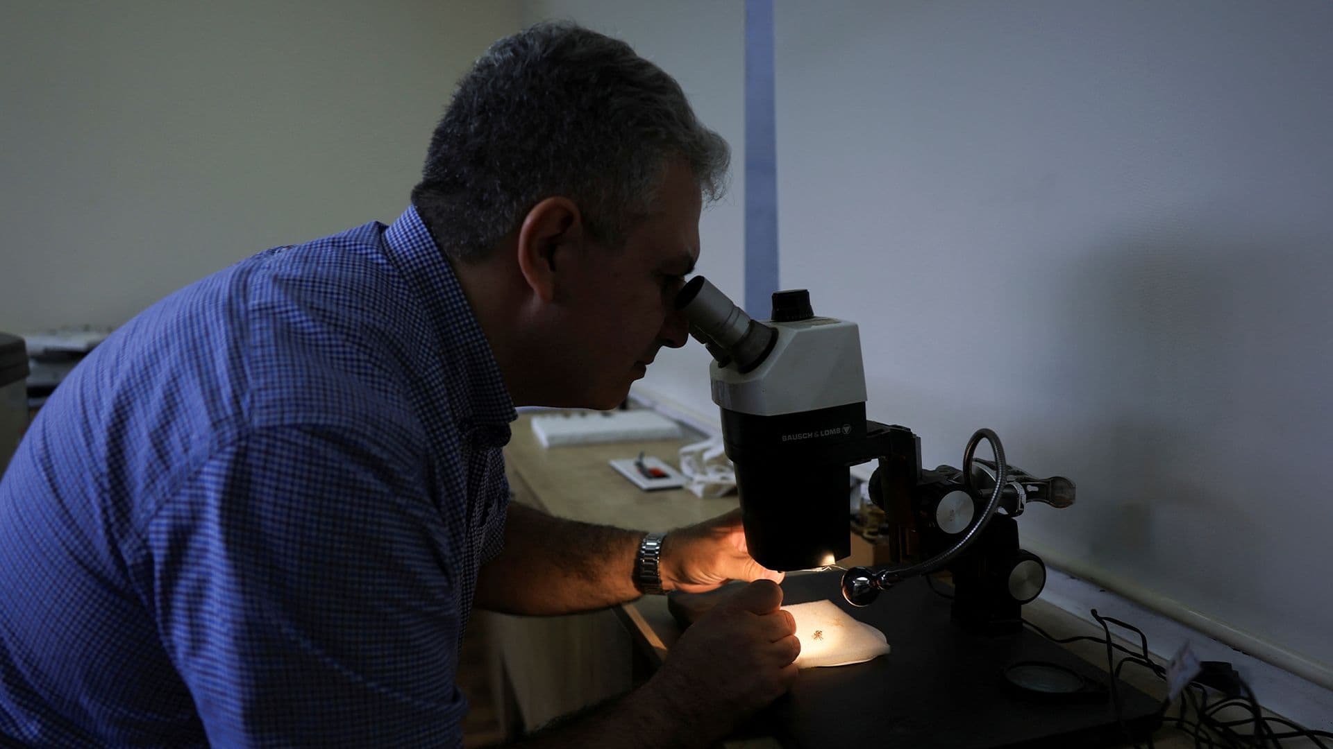 Así Es el PelV-1, un Virus 'Gigante' con la Cola Más Larga Jamás Observada