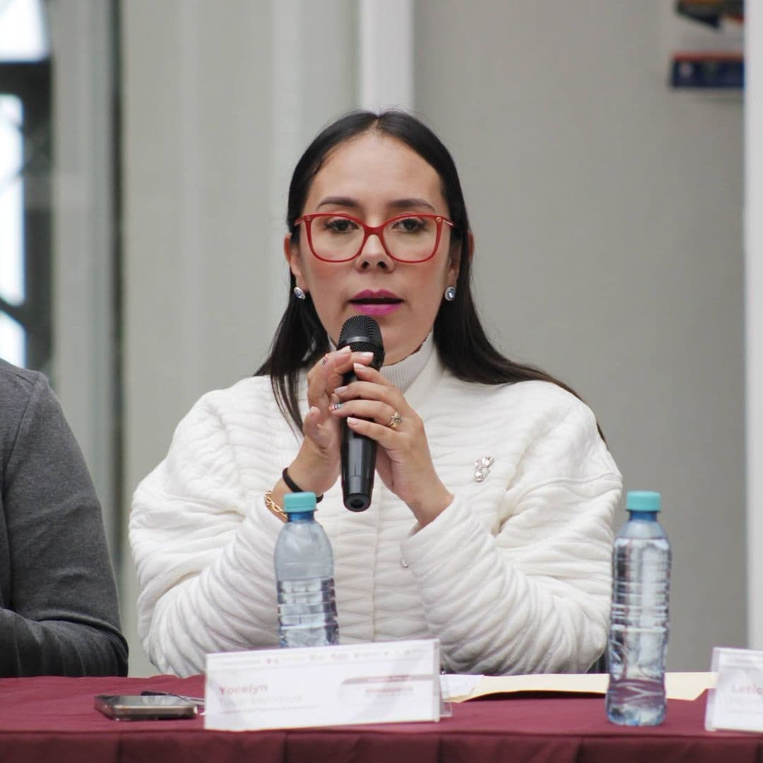 Yocelyn Tovar Mendoza