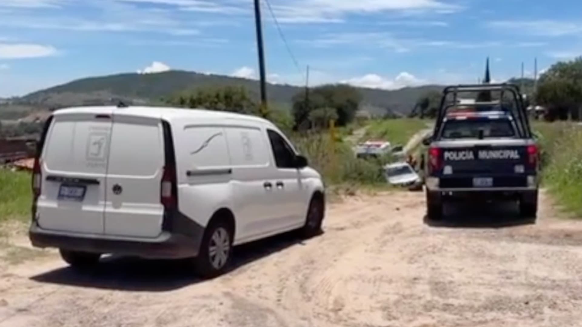 Enjambre de Abejas Ataca y Mata a un Hombre en San Miguel de Las Carpas en Acámbaro