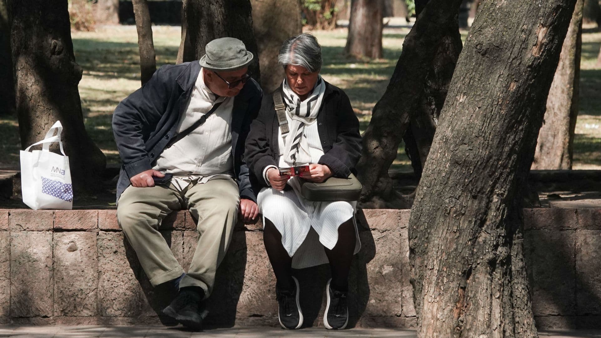 Adultos mayores sentados en un parque.