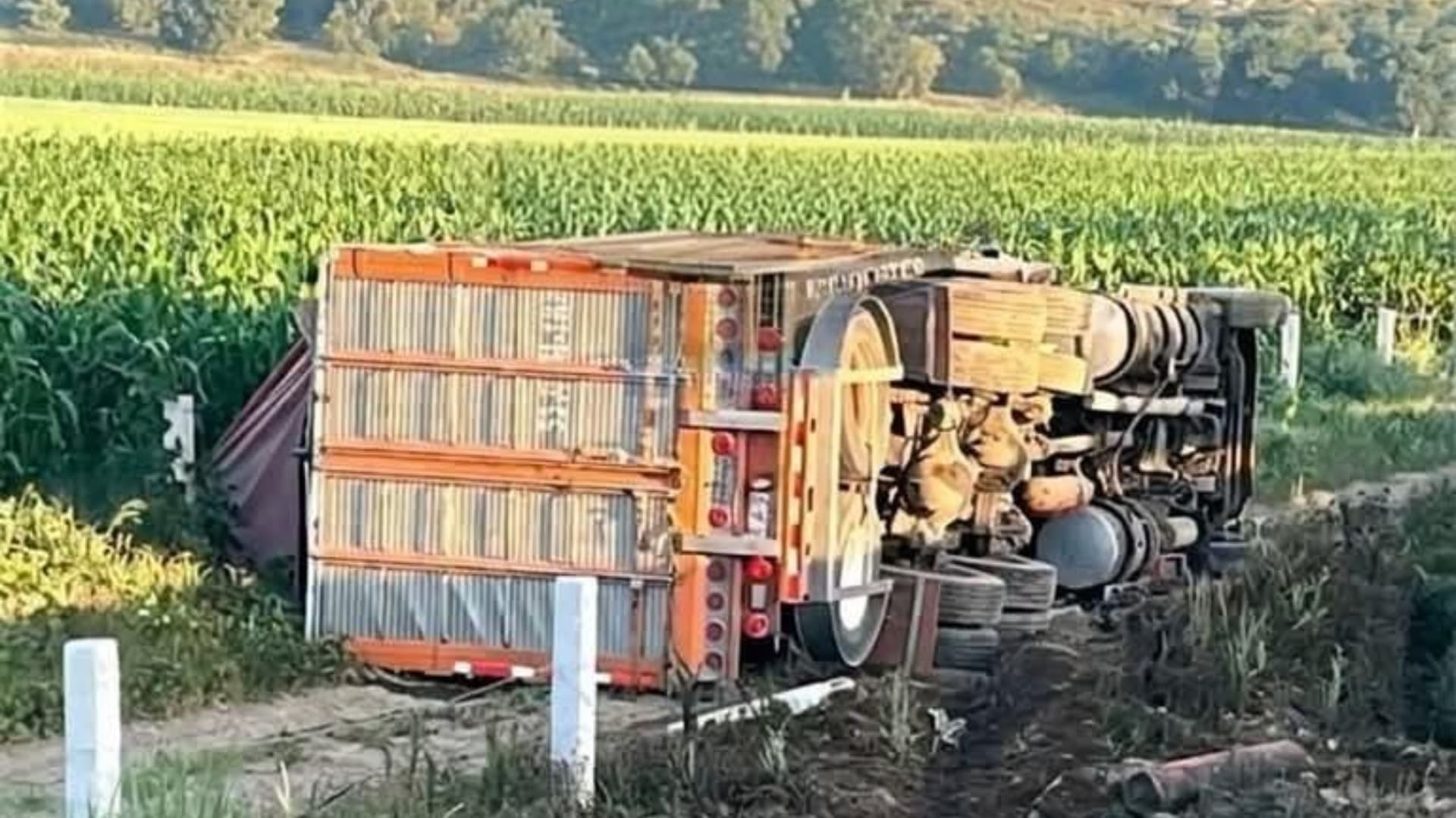 Accidente Tres Tráileres Autopista Cuapiaxtla-Cuacnopalan