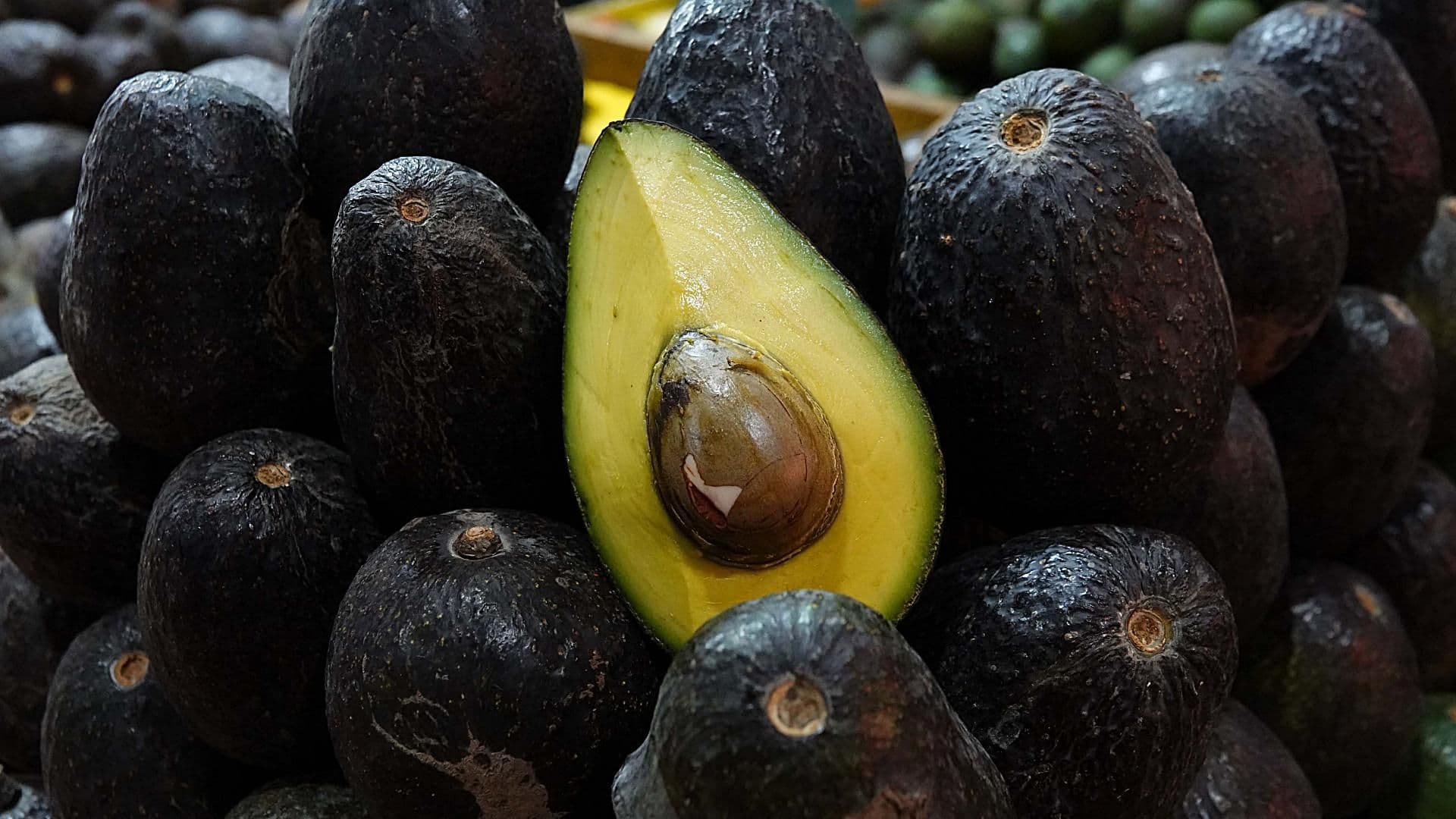 Venta de aguacate en el Mercado de la Merced en julio 2024. Foto: Cuartoscuro | Archivo