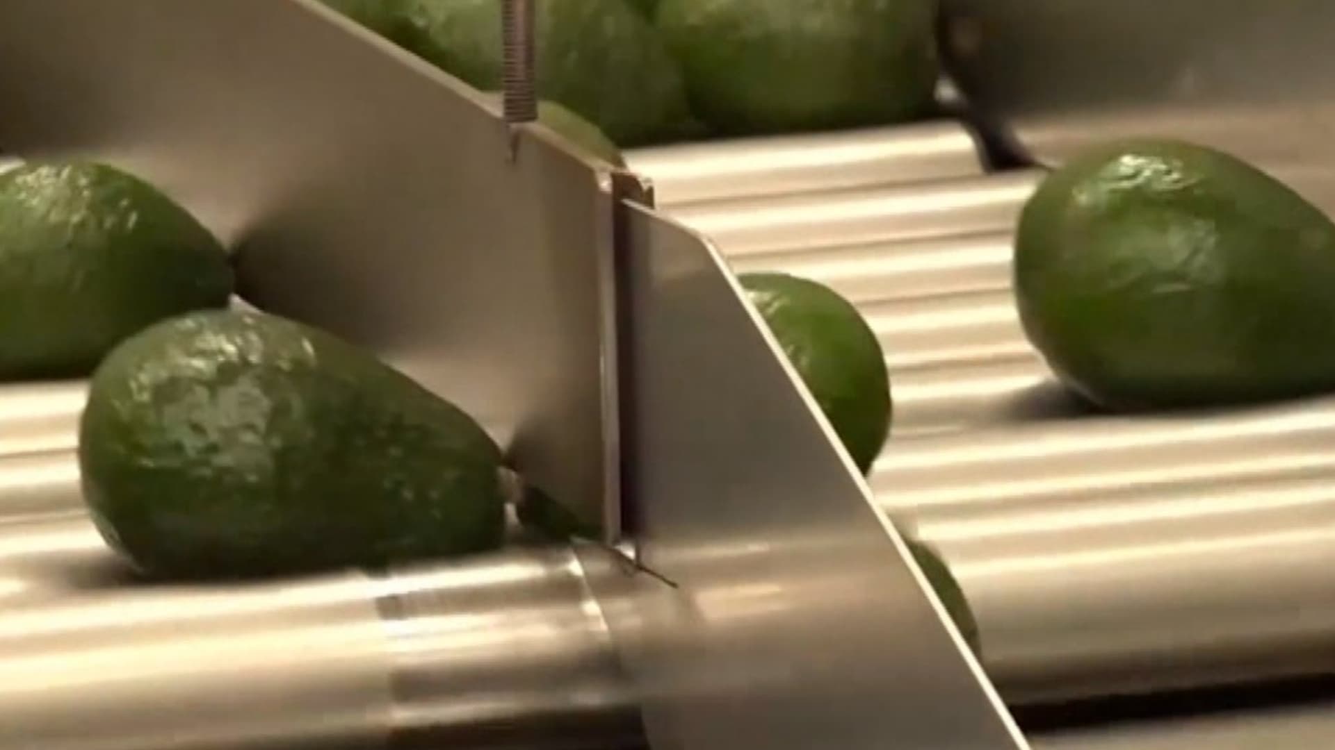 Aguacate