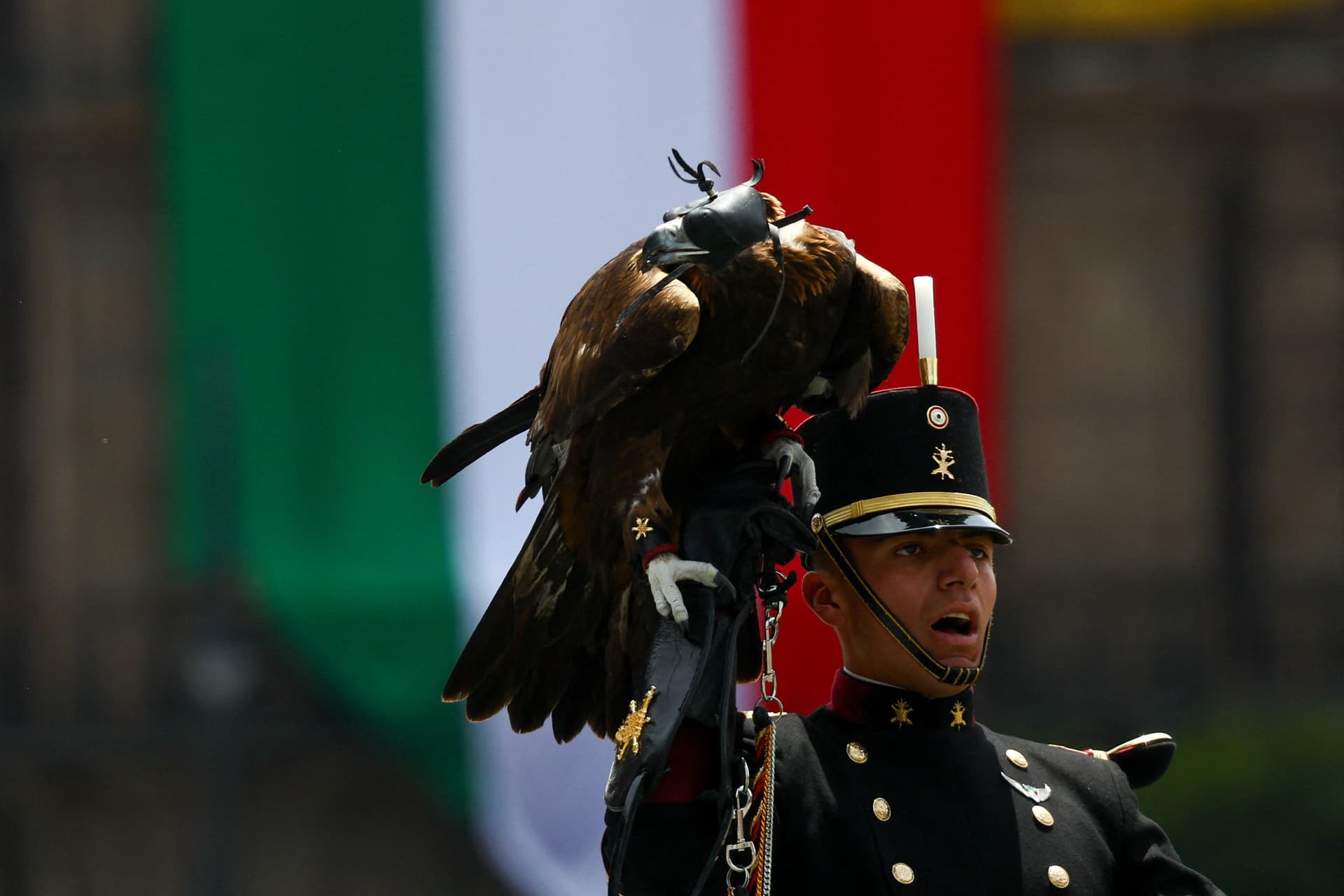 Un águila también forma parte del Desfile Militar