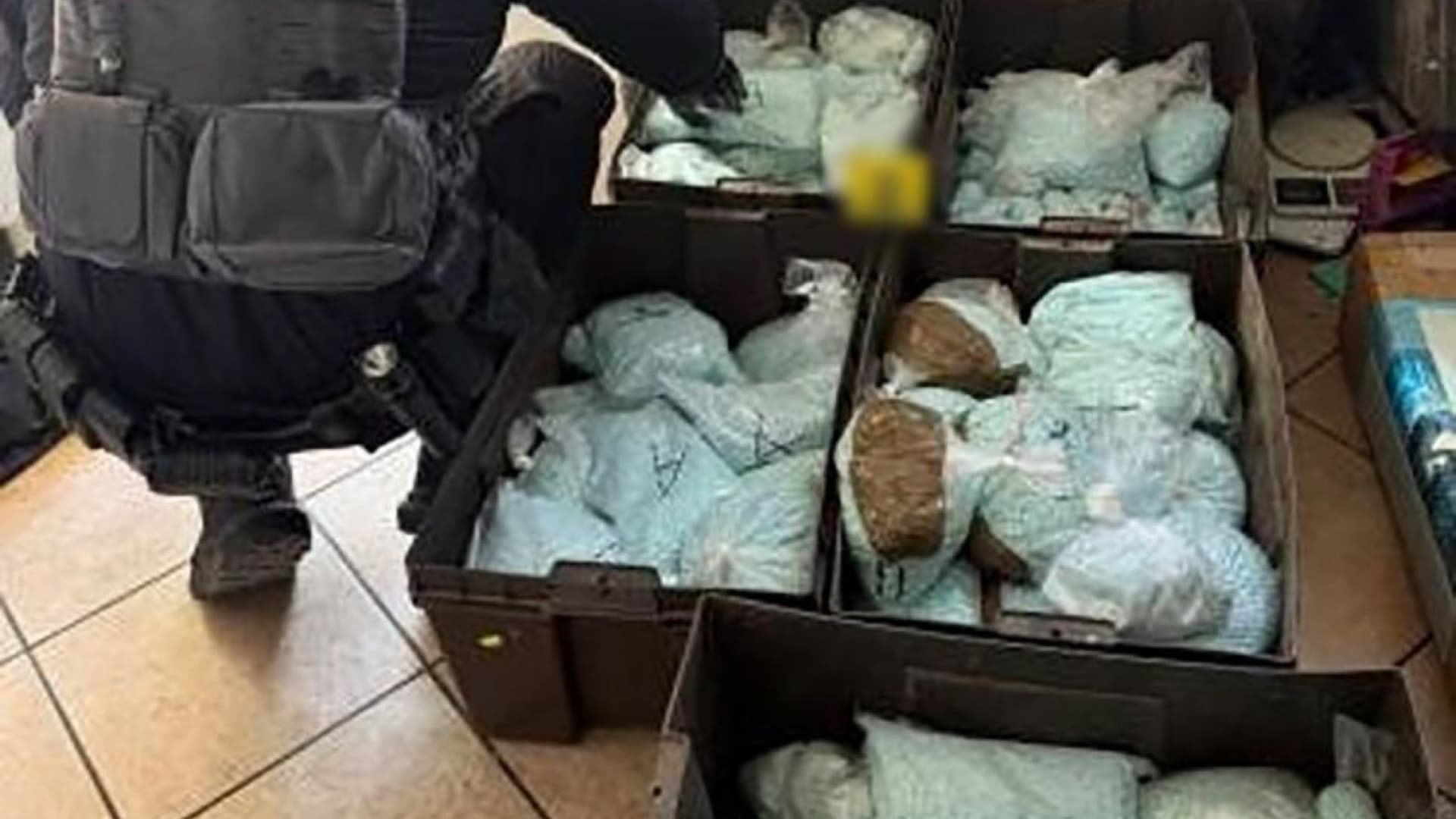 Aseguramiento de pastillas de fentanilo durante operativo de la Defensa y la DEA en agosto 2026
