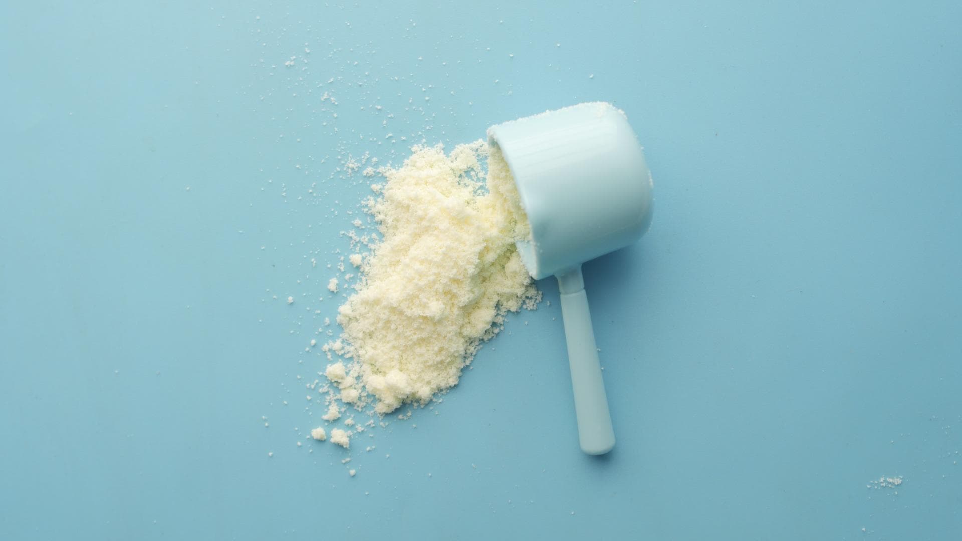 Leche en polvo