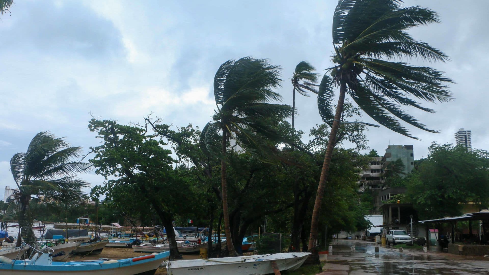 Fuertes vientos en el puerto de Acapulco por tormenta tropical en octubre 2025. Foto: Cuartoscuro