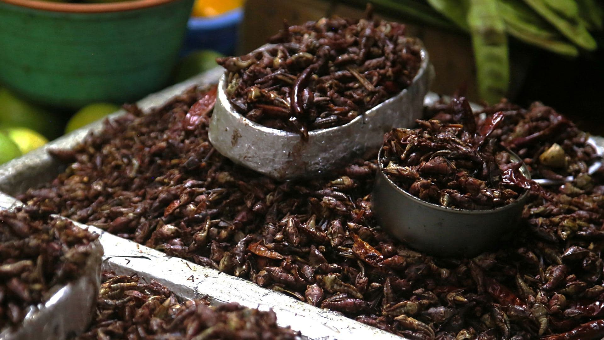 Venta de chapulines en mercado de Morelos en julio 2023. Foto: Cuartoscuro | Archivo