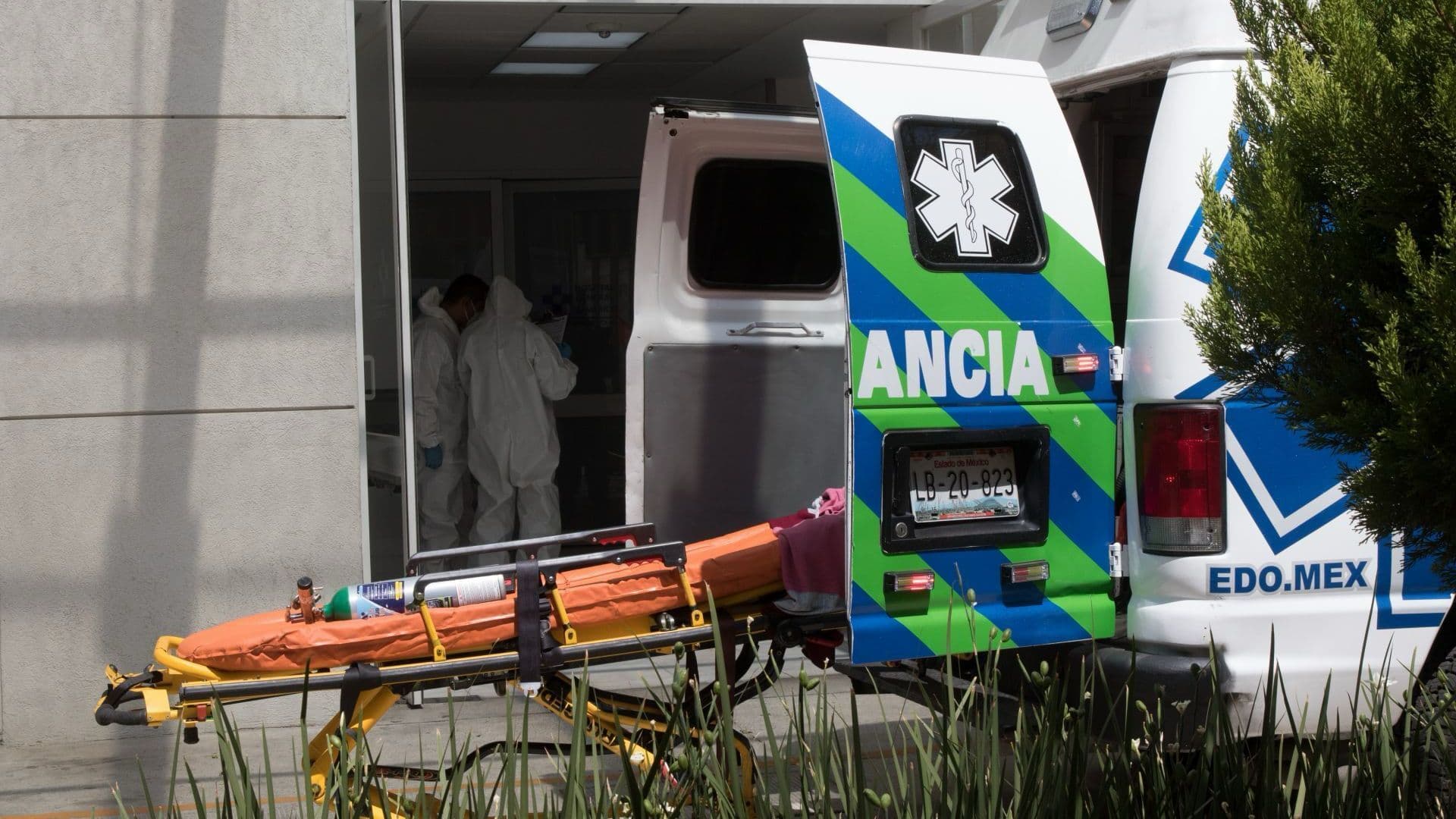 “Hay Que Estar Atentos”: Doctor Alejandro Macías Dice que Ciclosporiasis Podría Llegar a México