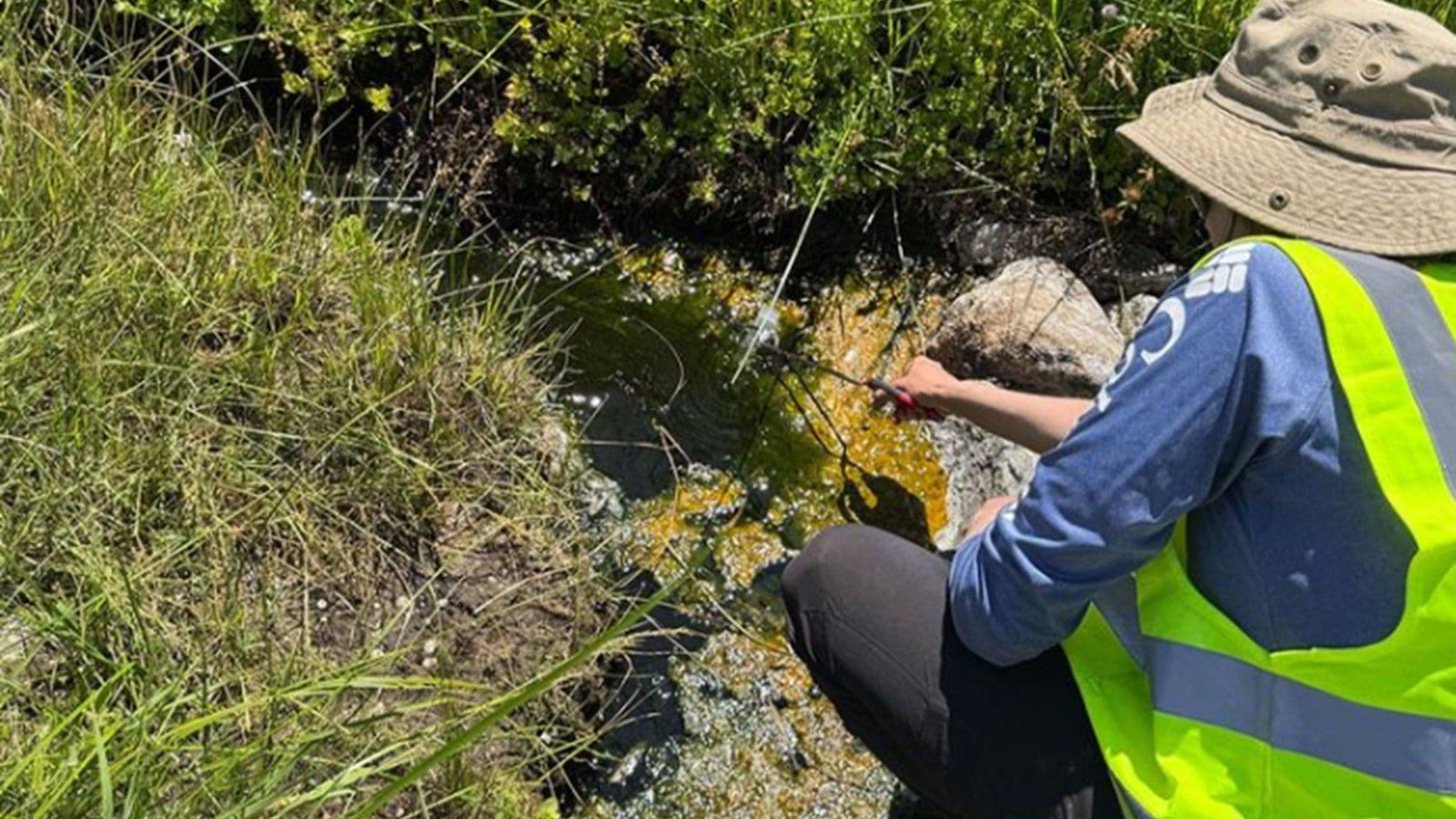 Cientificos recolectan muestras de la ameba de fuego