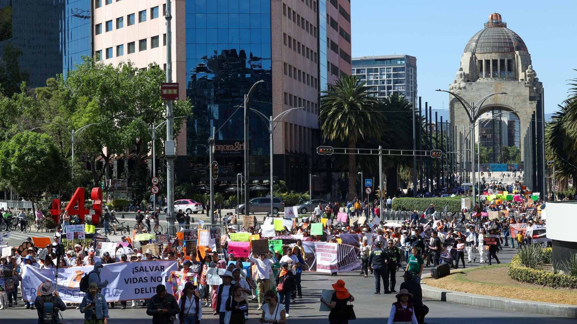 Protesta de animalistas el 25 de enero 2026 en CDMX