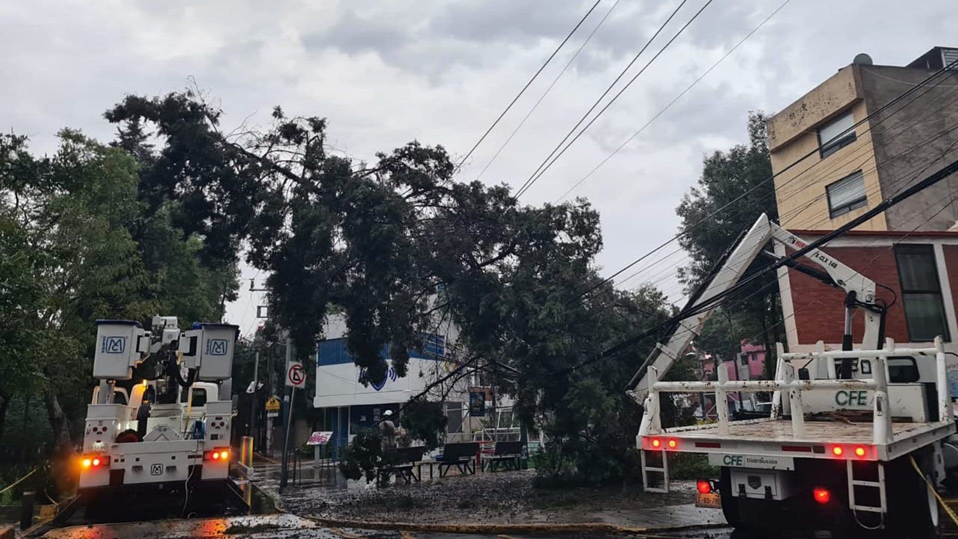 CFE trabaja en restablecimiento de luz ante apagón en CDMX. Foto: @CFEmx