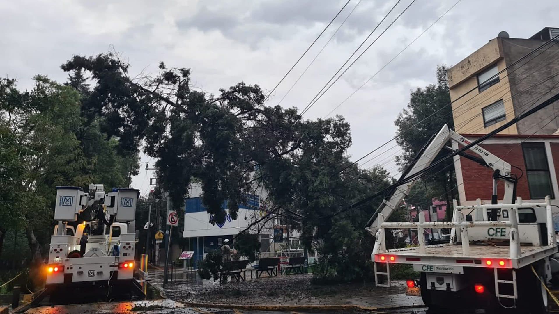 CFE trabaja en restablecimiento de luz ante apagón en CDMX. Foto: @CFEmx