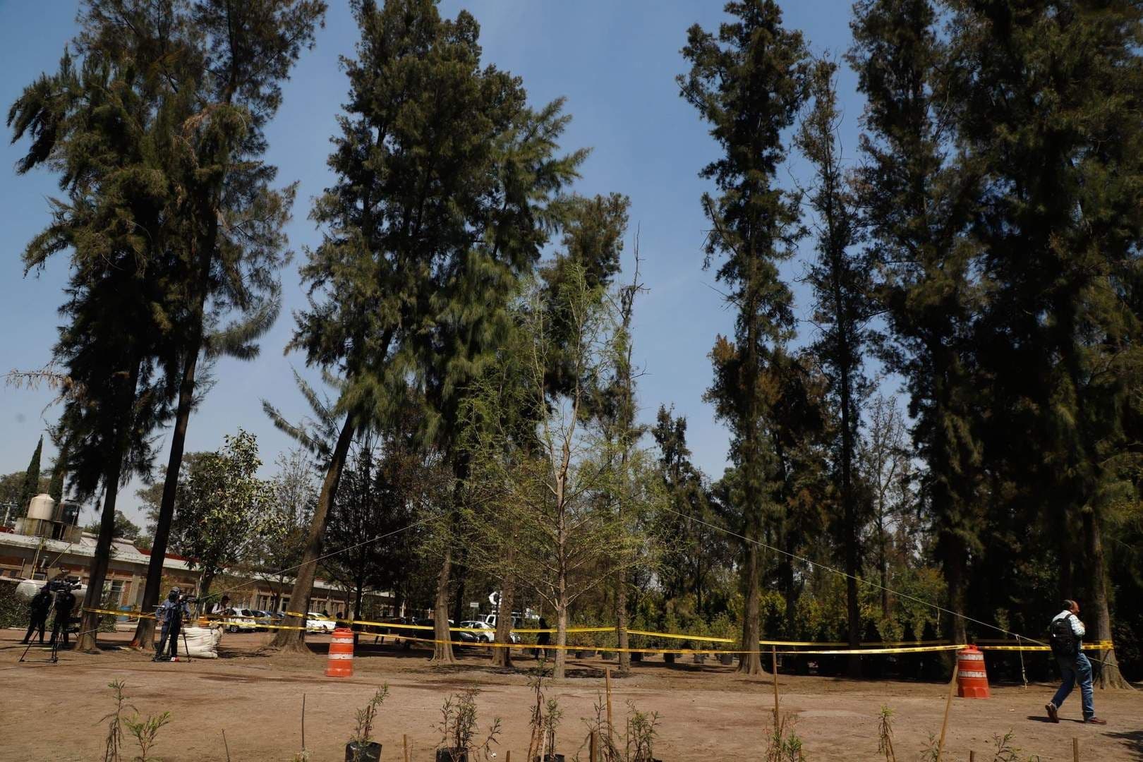 Los vecinos buscan crear conciencia con carteles para conservar a los árboles