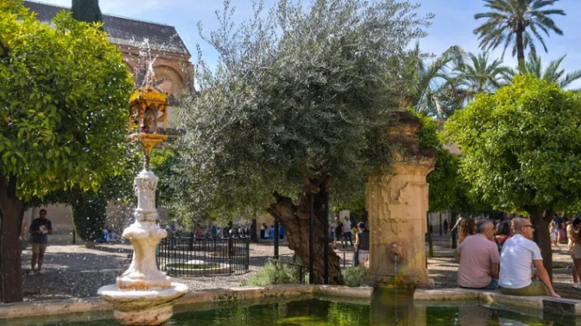 Árboles que mitigan el calor