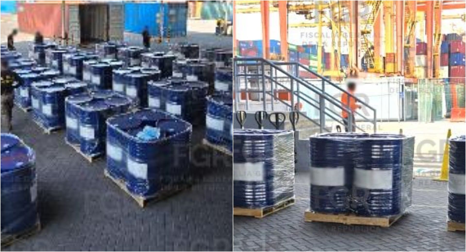 Dan golpe en aduana de Manzanillo, aseguran precursores químicos