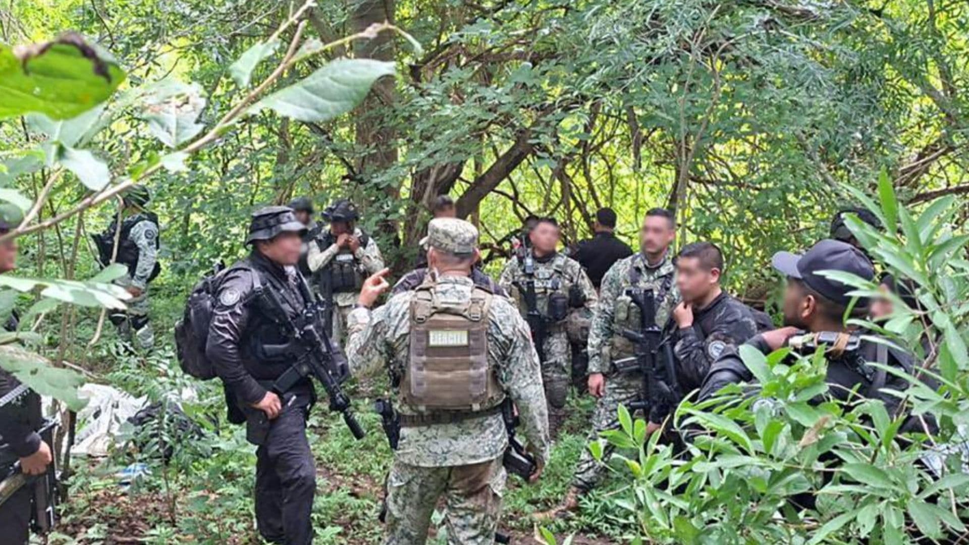 Foto: Gobierno de México