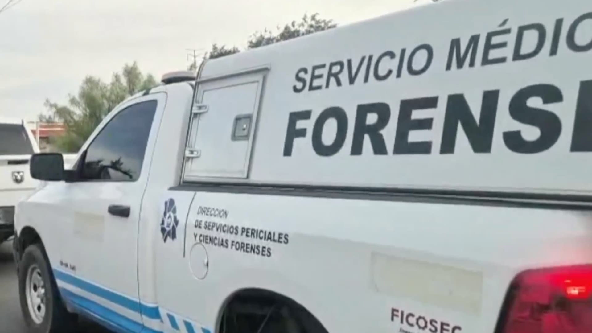 SEMEFO
