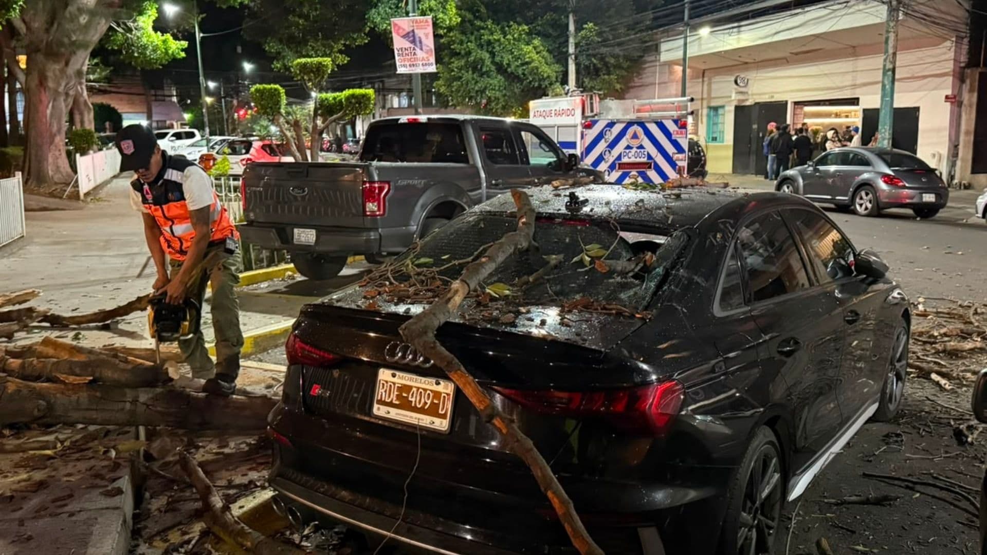 Árbol cae sobre auto en CDMX