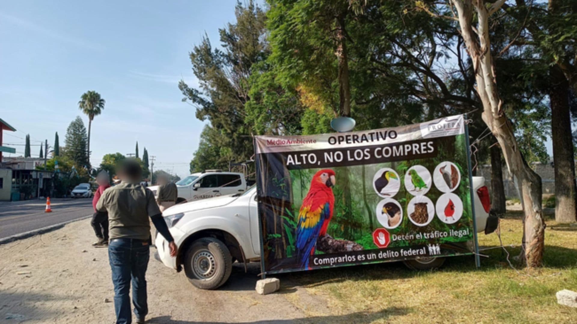 Aseguradas 65 Especies Aves Orquídeas Tlacotepec de Benito Juárez Tepanco de López Puebla