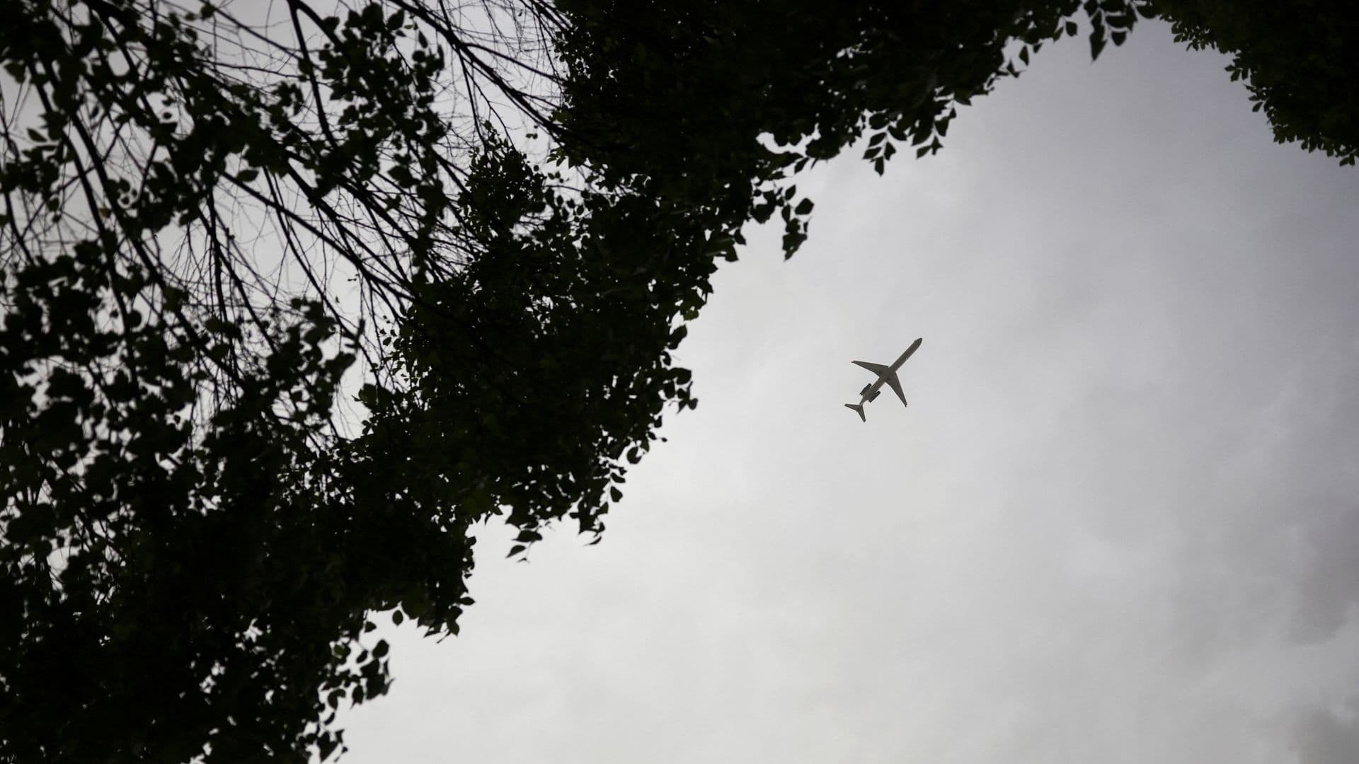 Avión en pleno vuelo