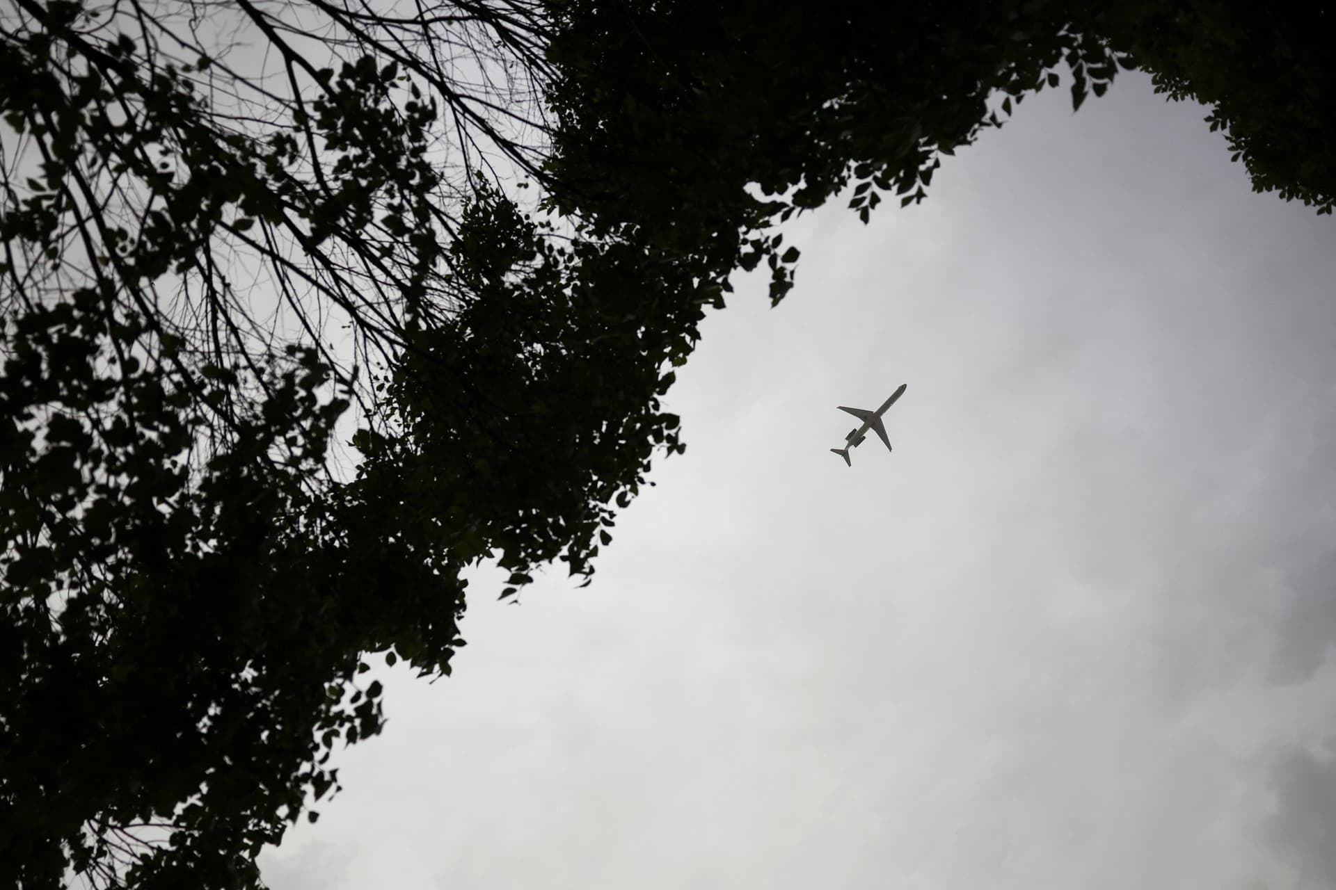 Avión en pleno vuelo