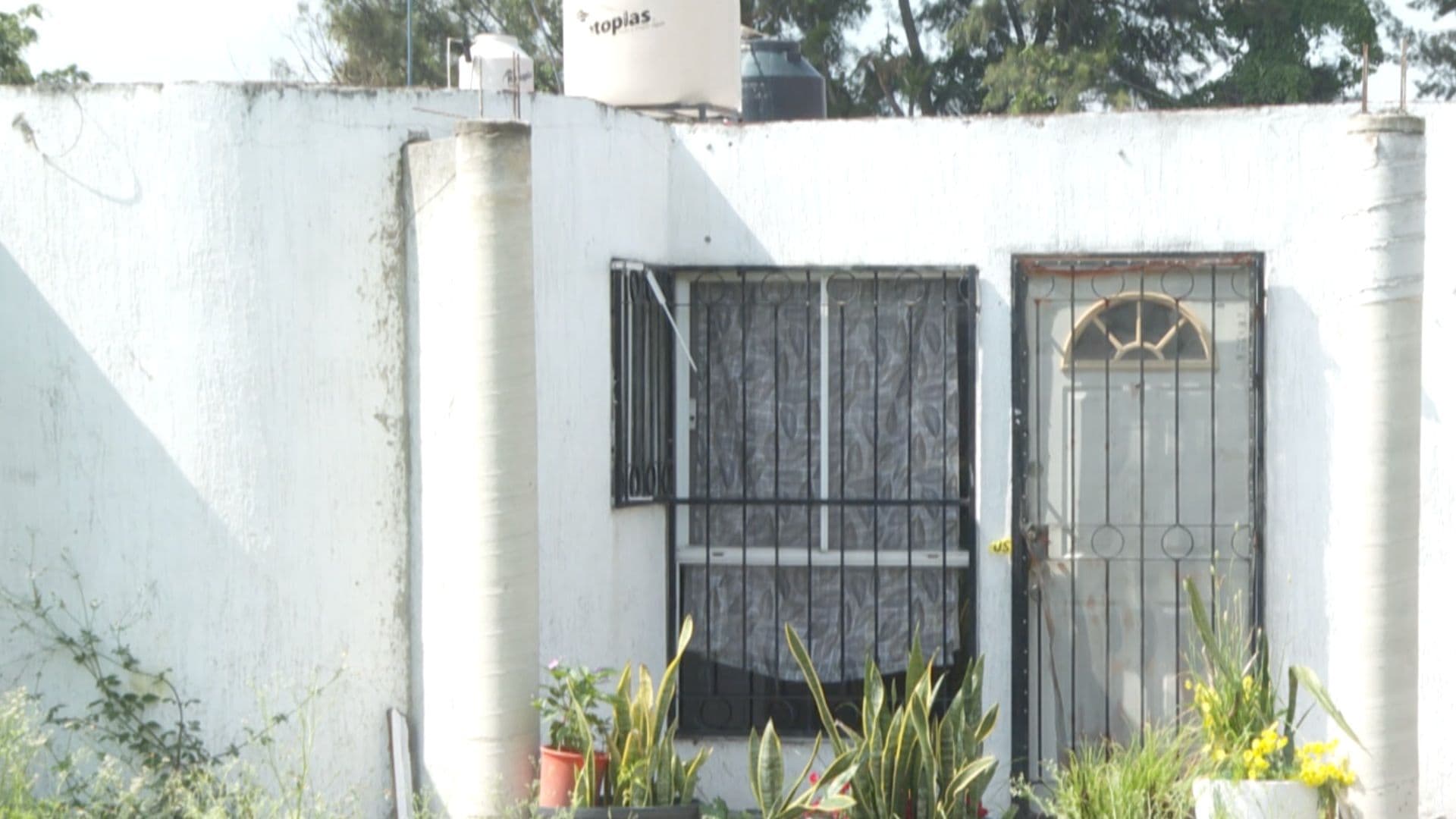 Mujer asesina a su bebé; investigan como feminicidio