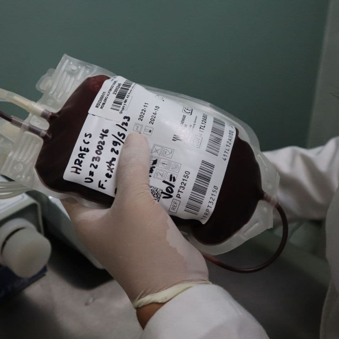 Las autoridades pudieron recuperar las bolsas de sangre.